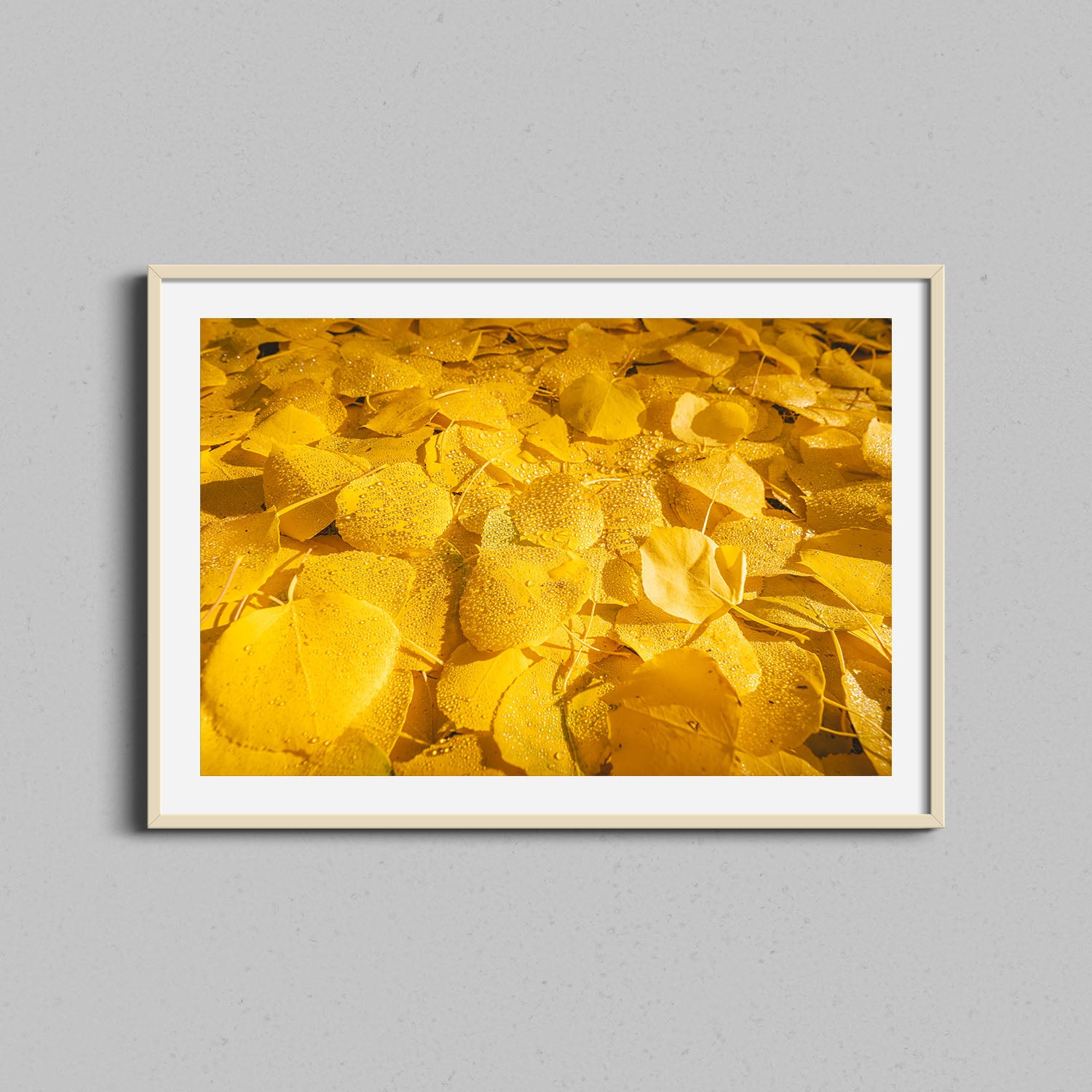 Colorado Aspen Leaves Print