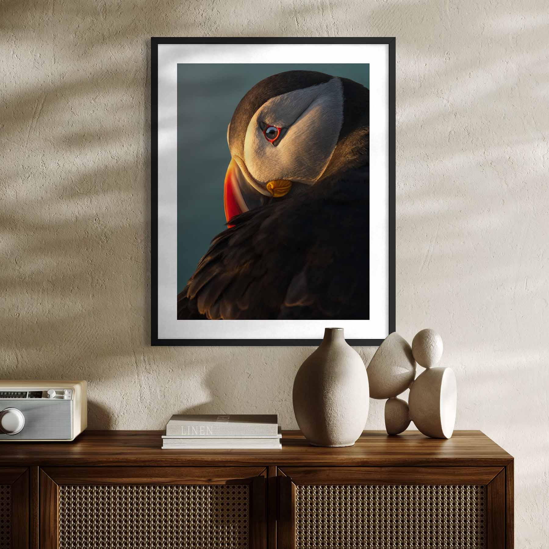 Atlantic Puffin Print