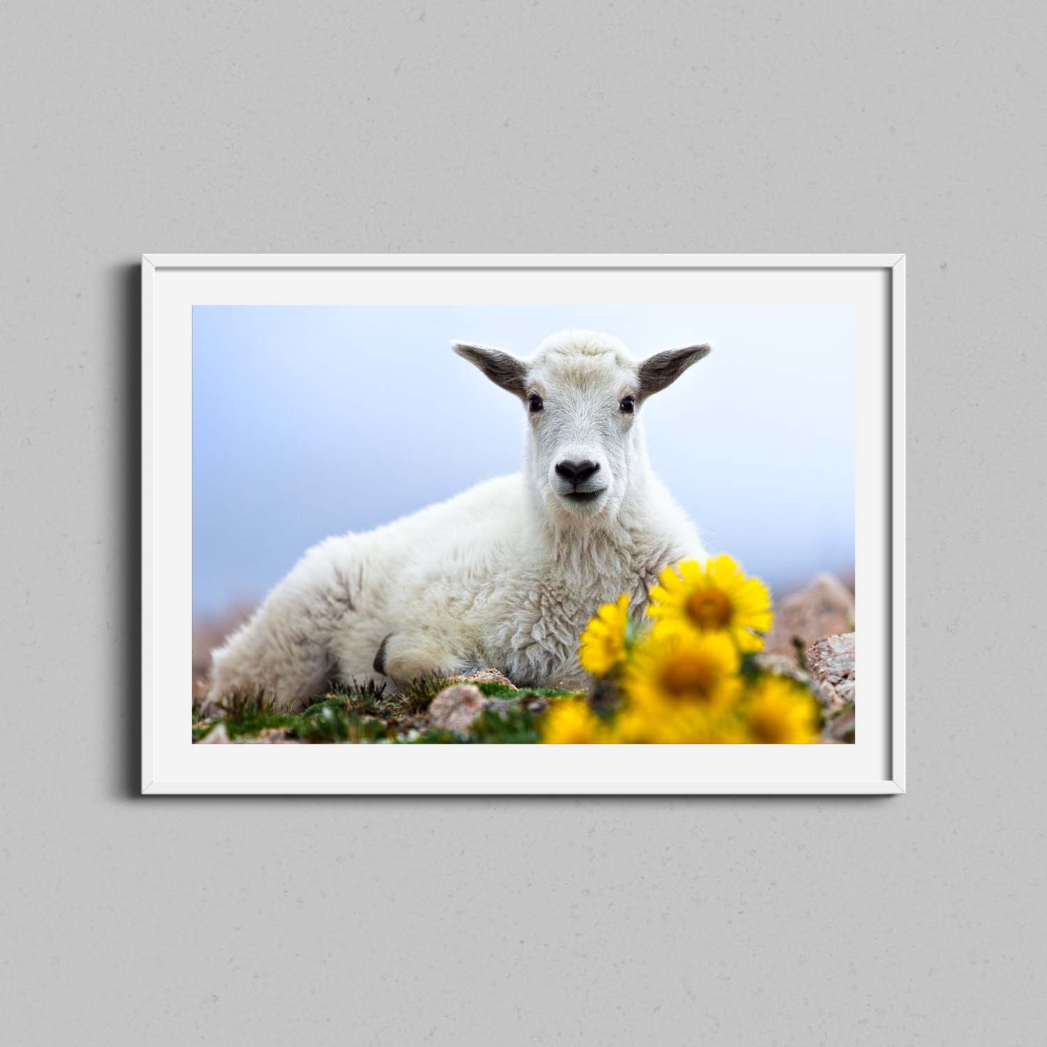 Baby Goat with Flowers Print