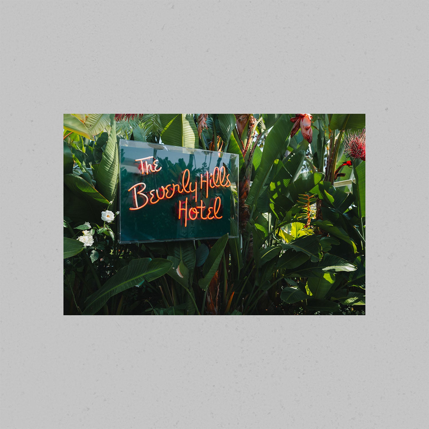 A fine art photograph of the Beverly Hills Hotel neon signed.