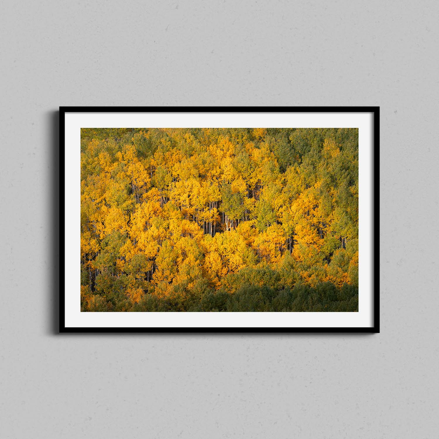 Yellow Forest Print