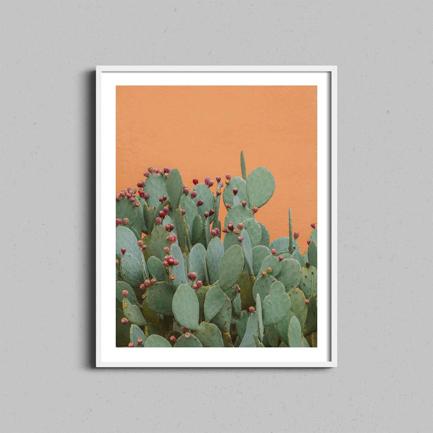 A photography print of a prickly pear cactus against a textured orange wall framed with a white wooden frame.