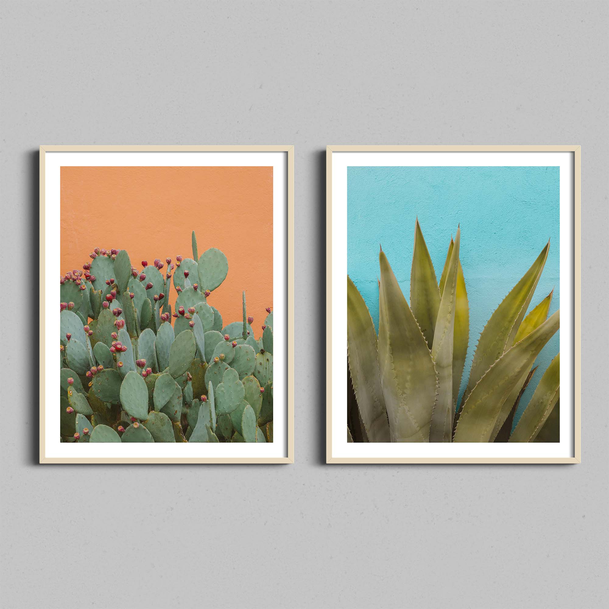 Two diptych photographs of desert cactus in natural wooden frames.
