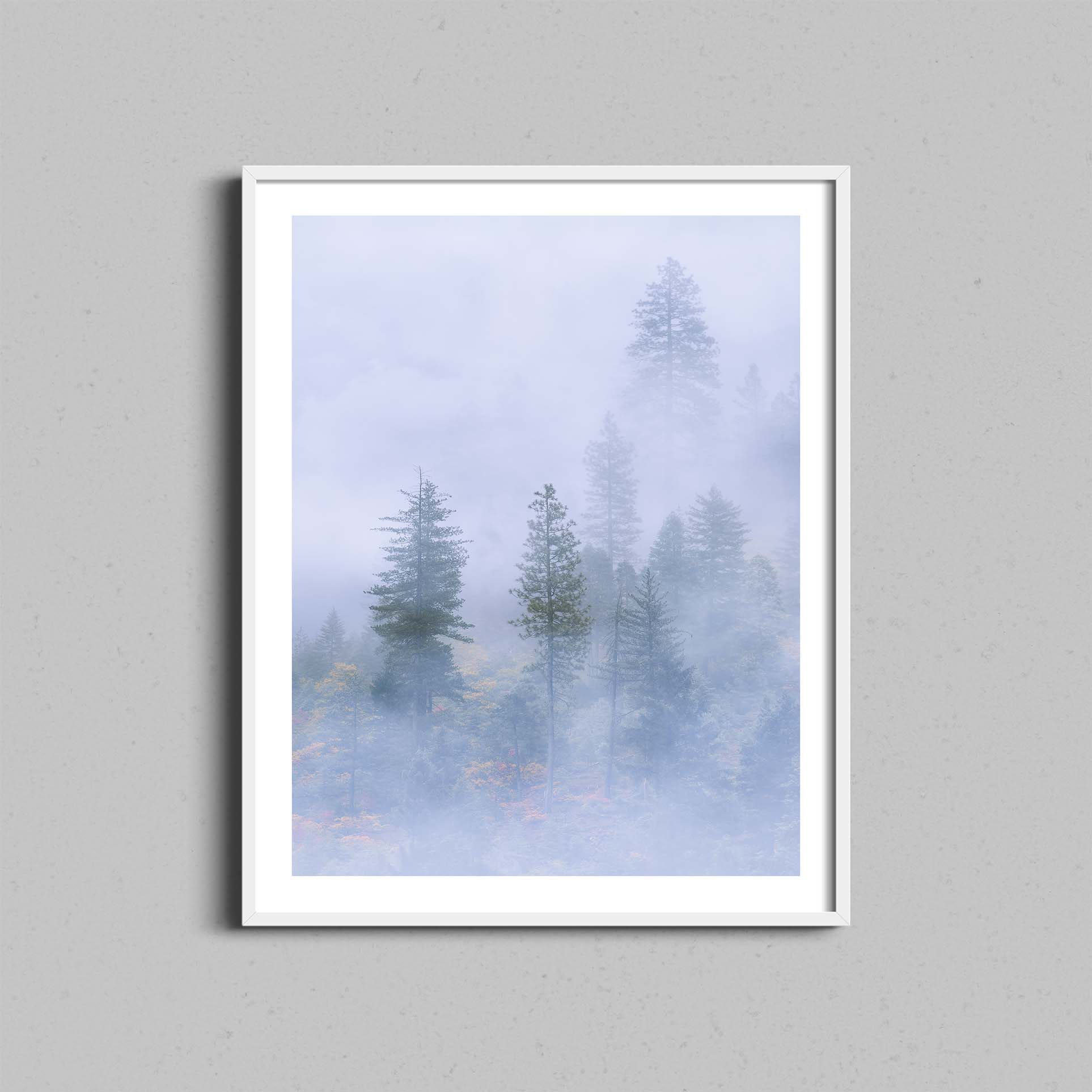 Misty Forest Print
