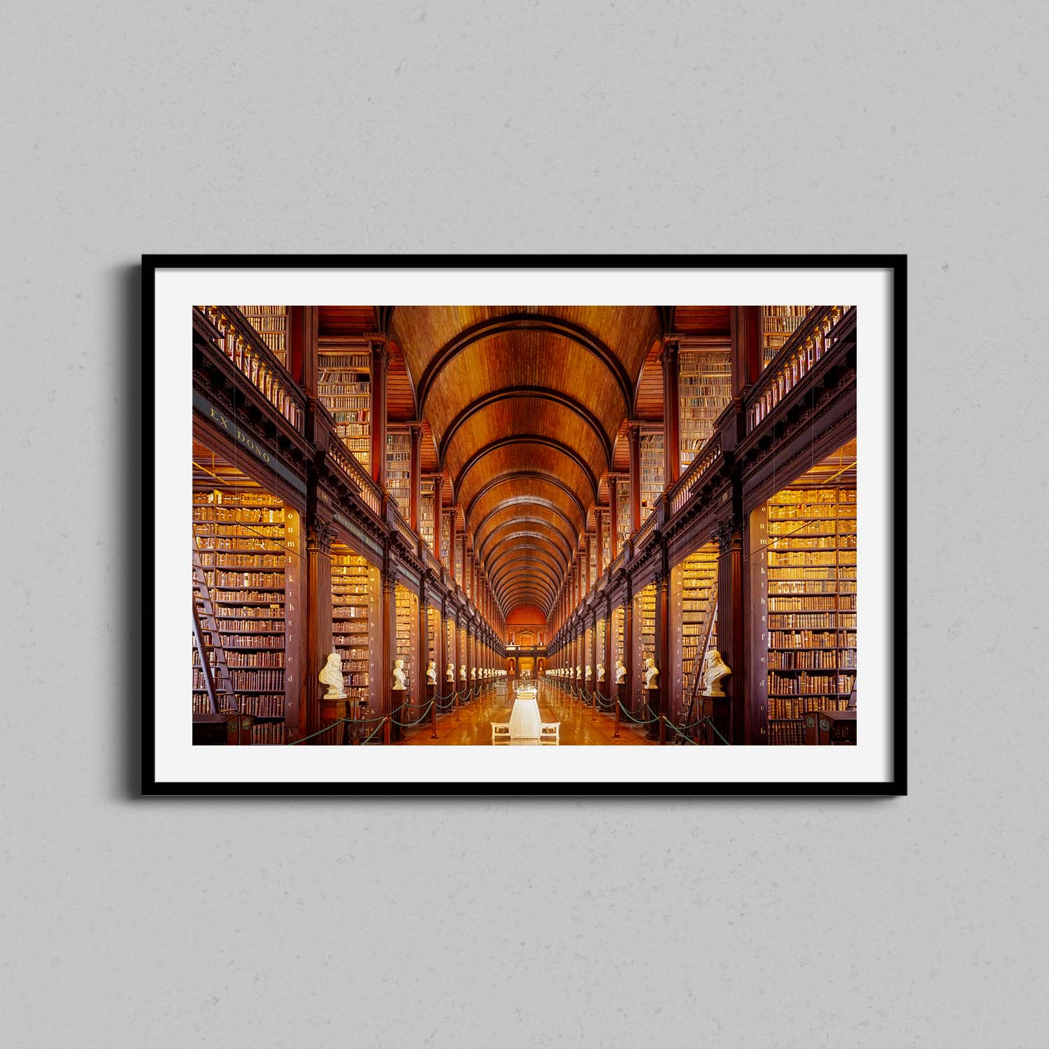 Dublin Ireland Library Print