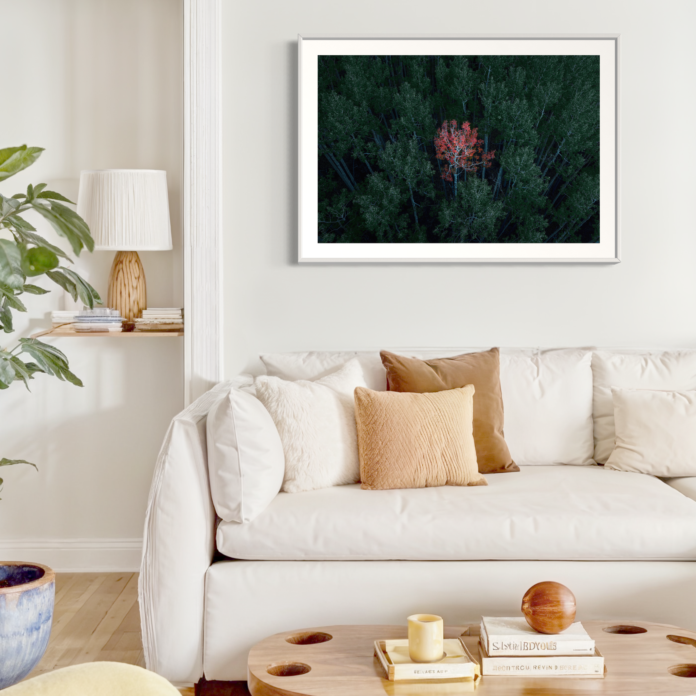 Solo Red Aspen Print