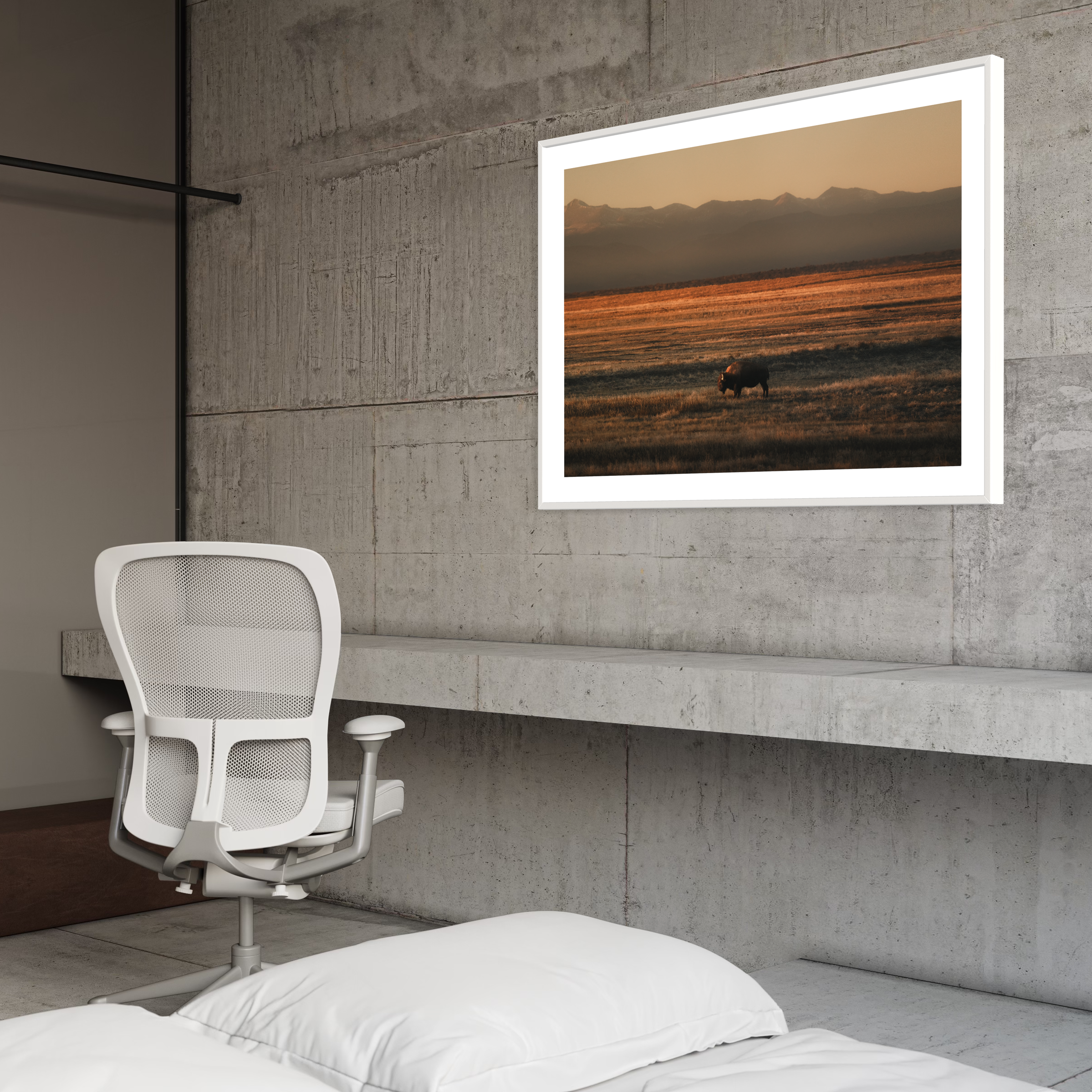 Lone Colorado Buffalo Print