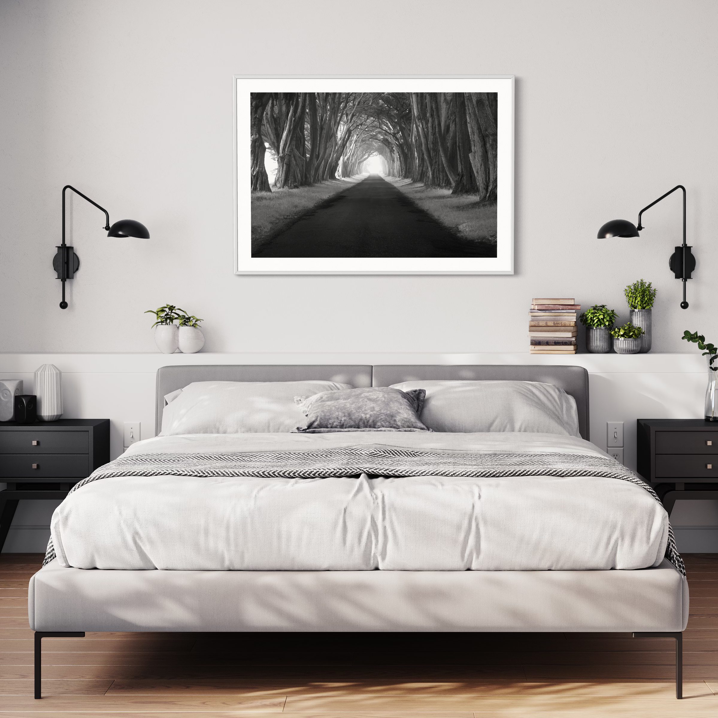 Point Reyes Tree Tunnel Print