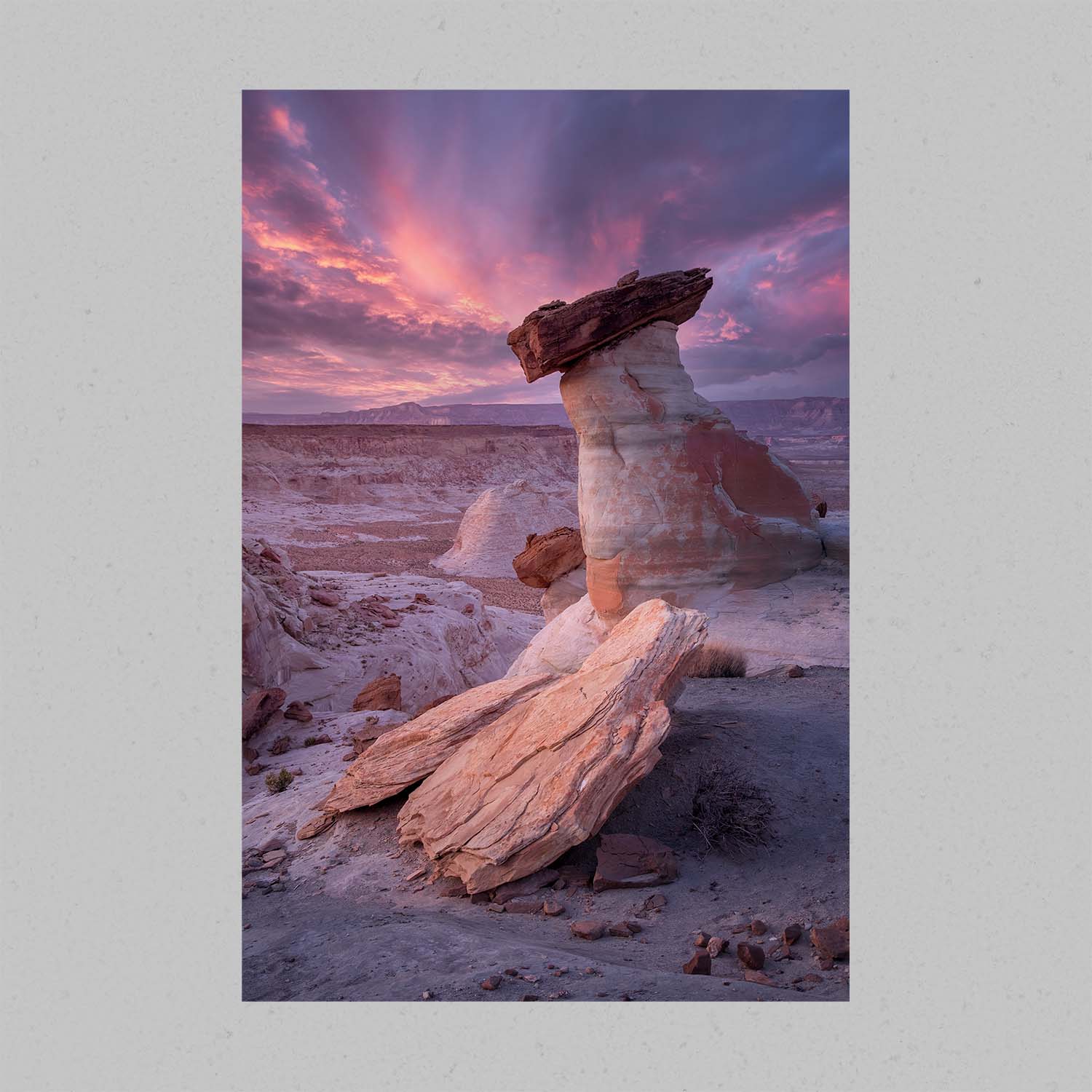 Stud Horse Point Print