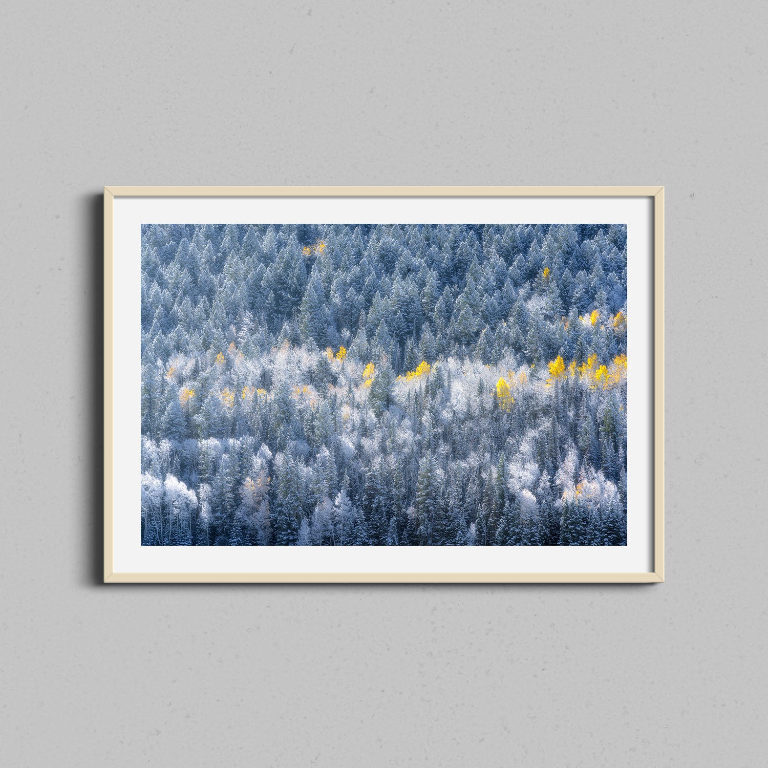 Winter and Fall Collide Print