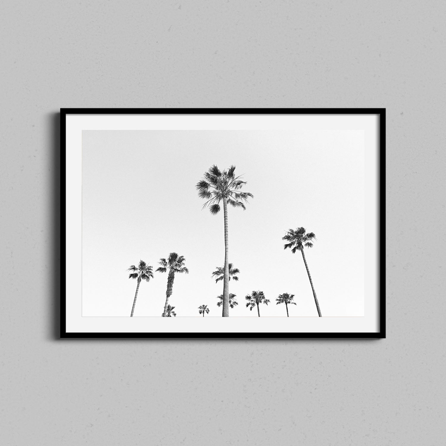 California Palm Trees Print