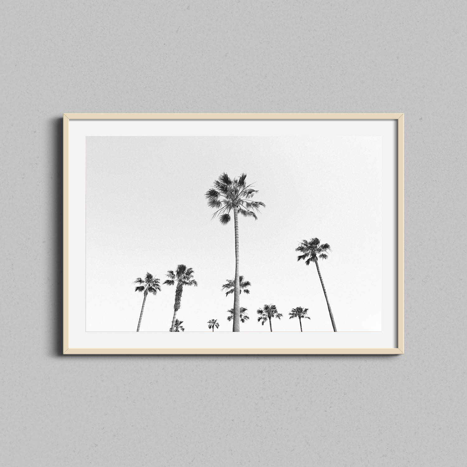 California Palm Trees Print