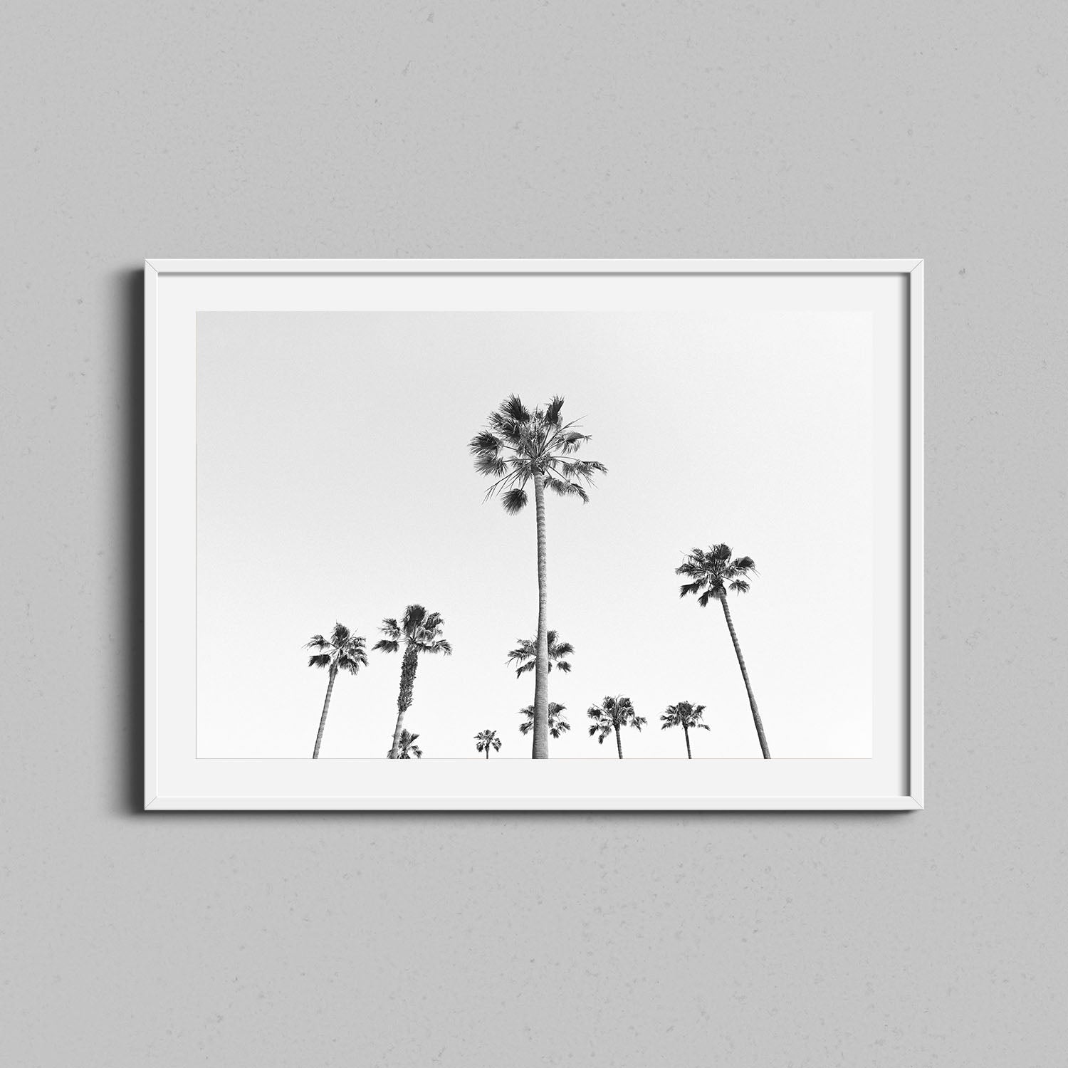 California Palm Trees Print