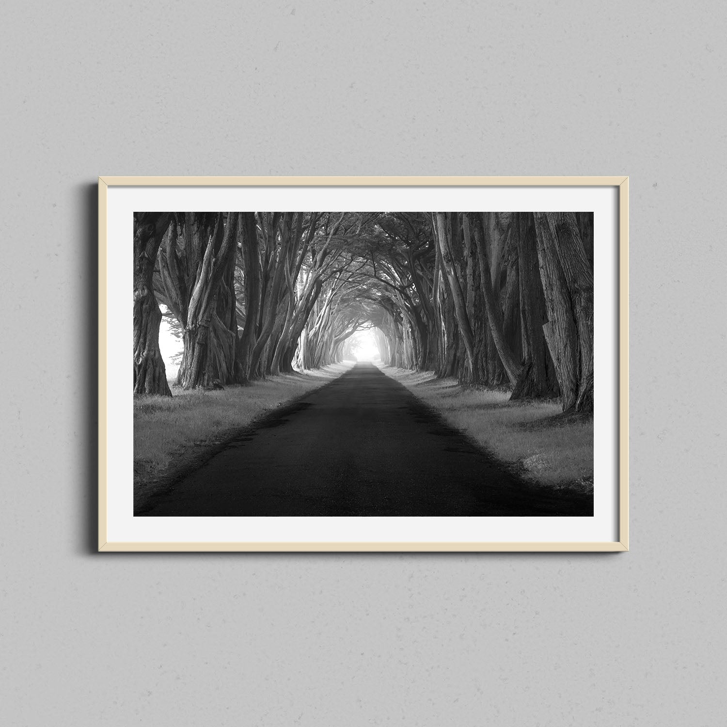 Point Reyes Tree Tunnel Print