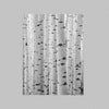 Abstract Aspen Trunks Print