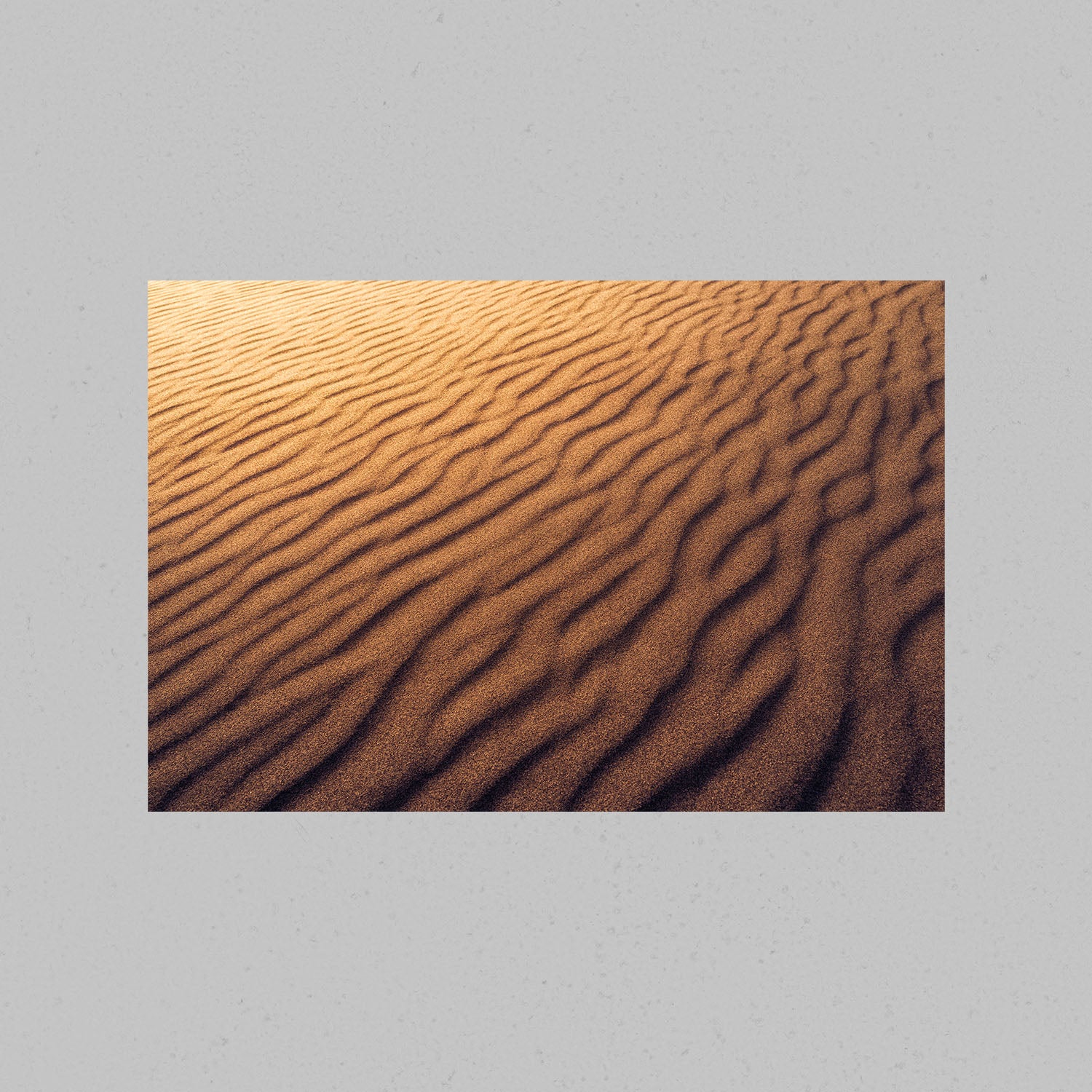 Abstract Sand Dunes Print