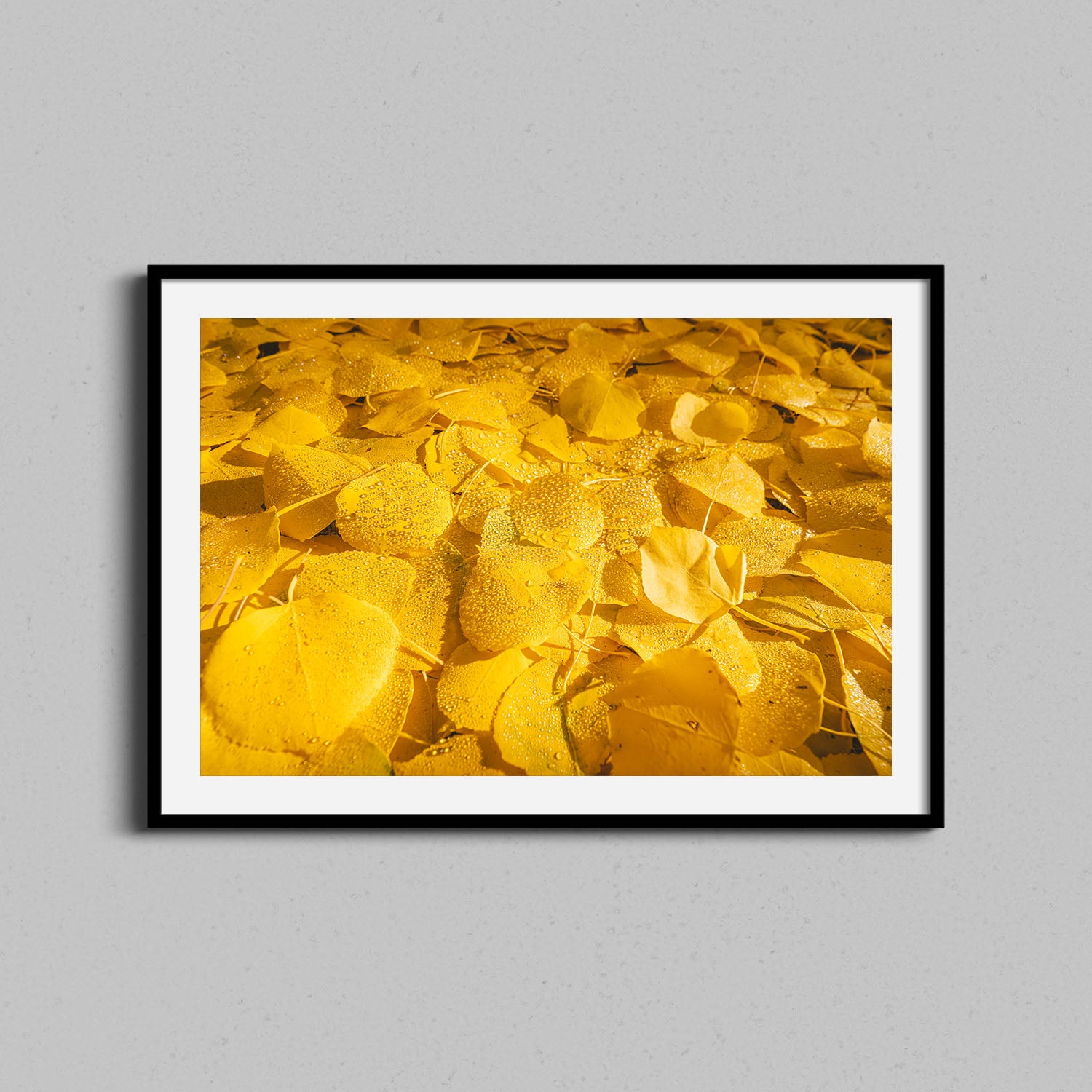 Colorado Aspen Leaves Print