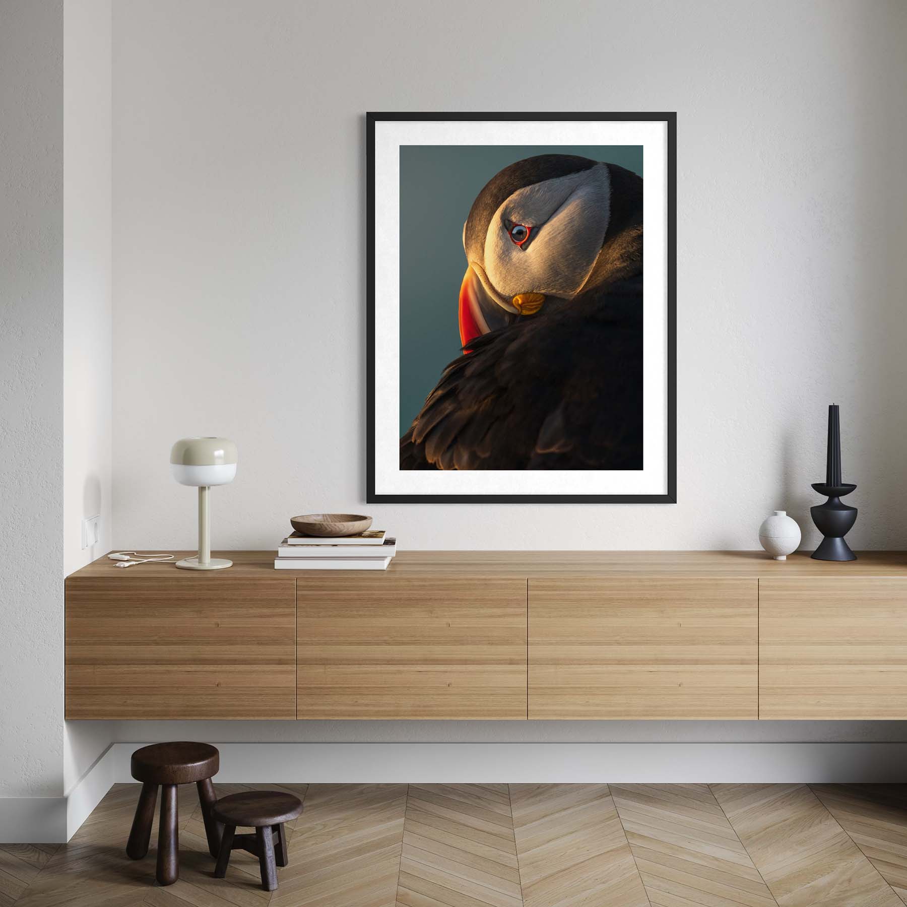 Atlantic Puffin Print