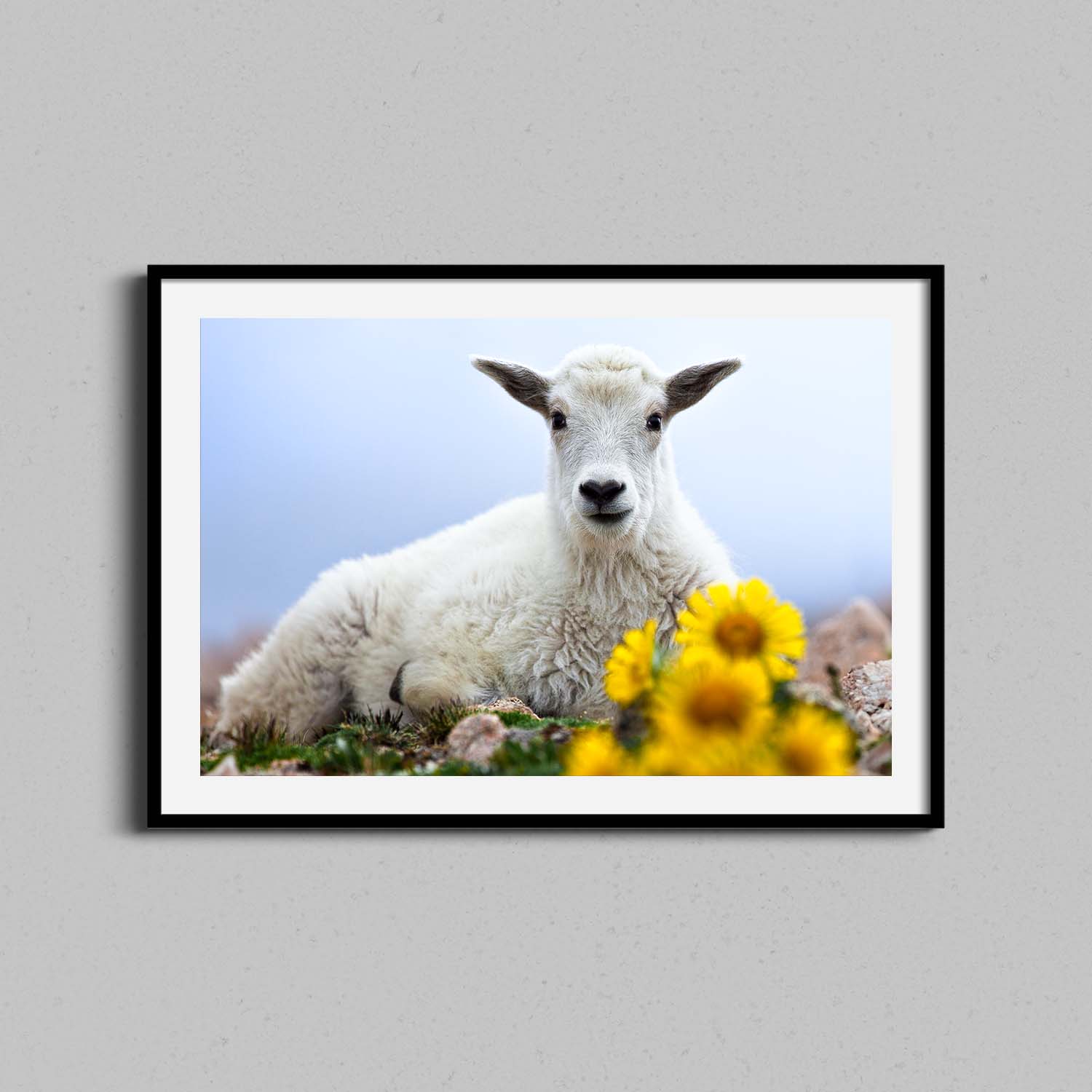 Baby Goat with Flowers Print