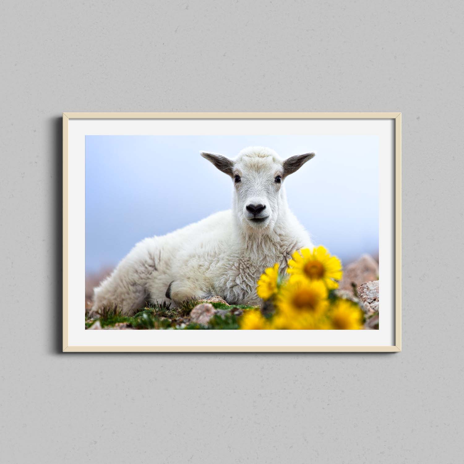 Baby Goat with Flowers Print