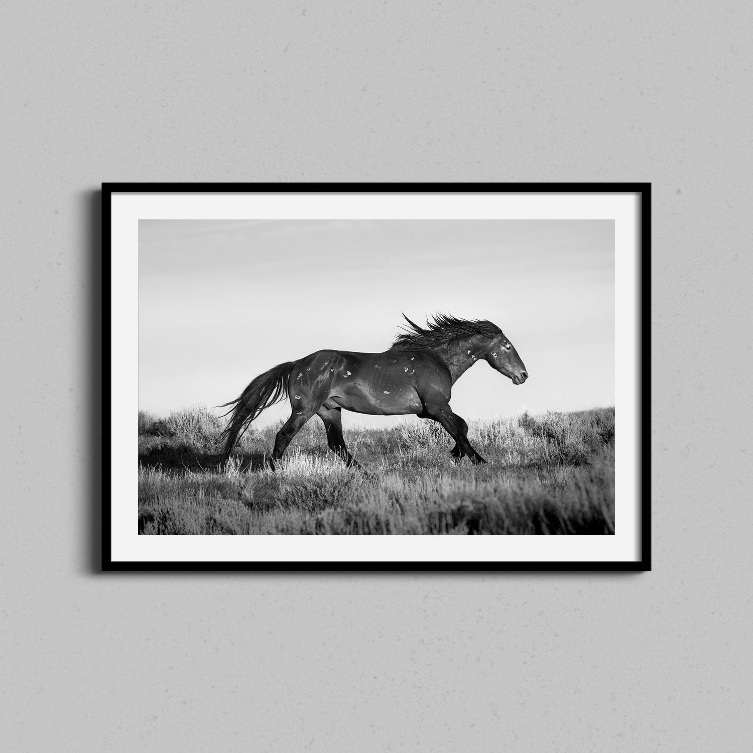 Running Horse Print