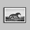 Running Horse Print