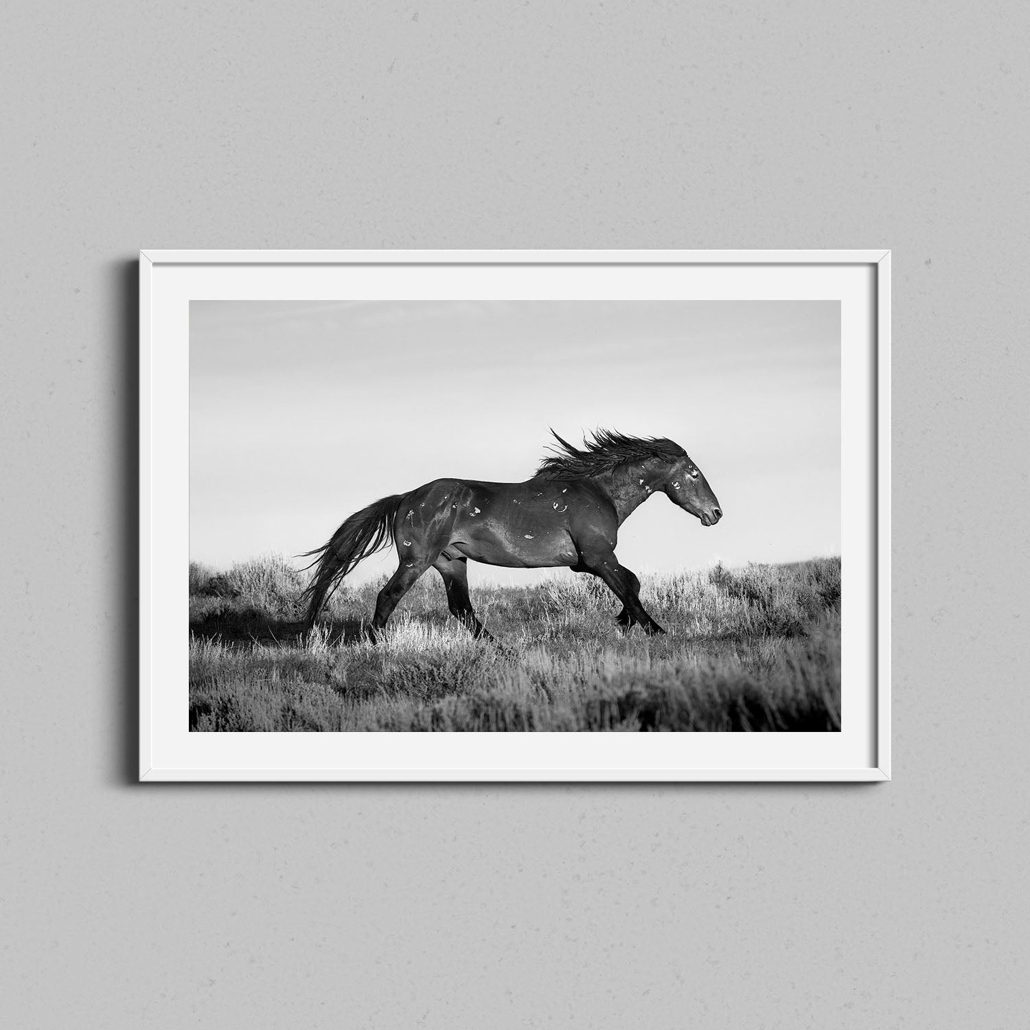 Running Horse Print