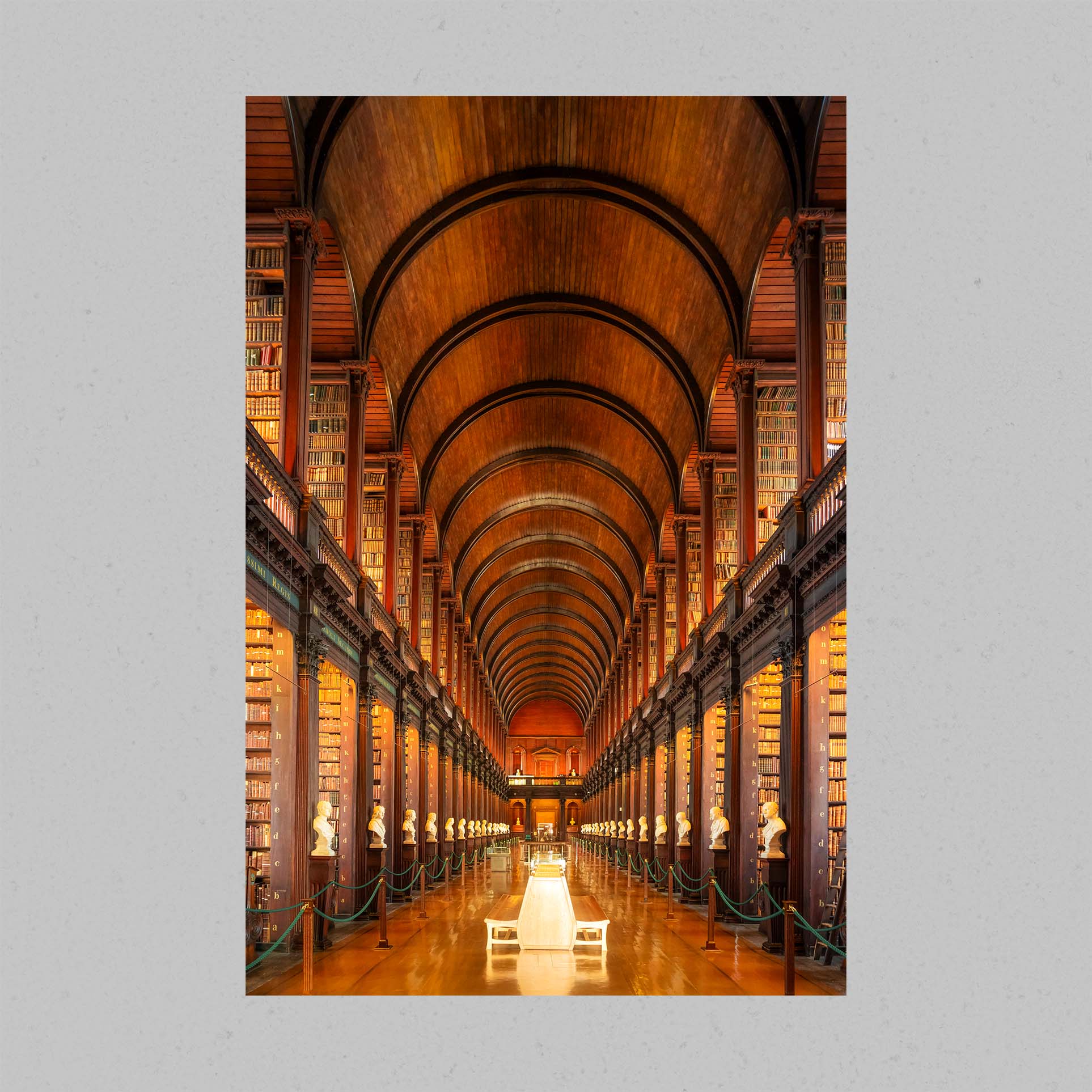 Book of Kells Library Print