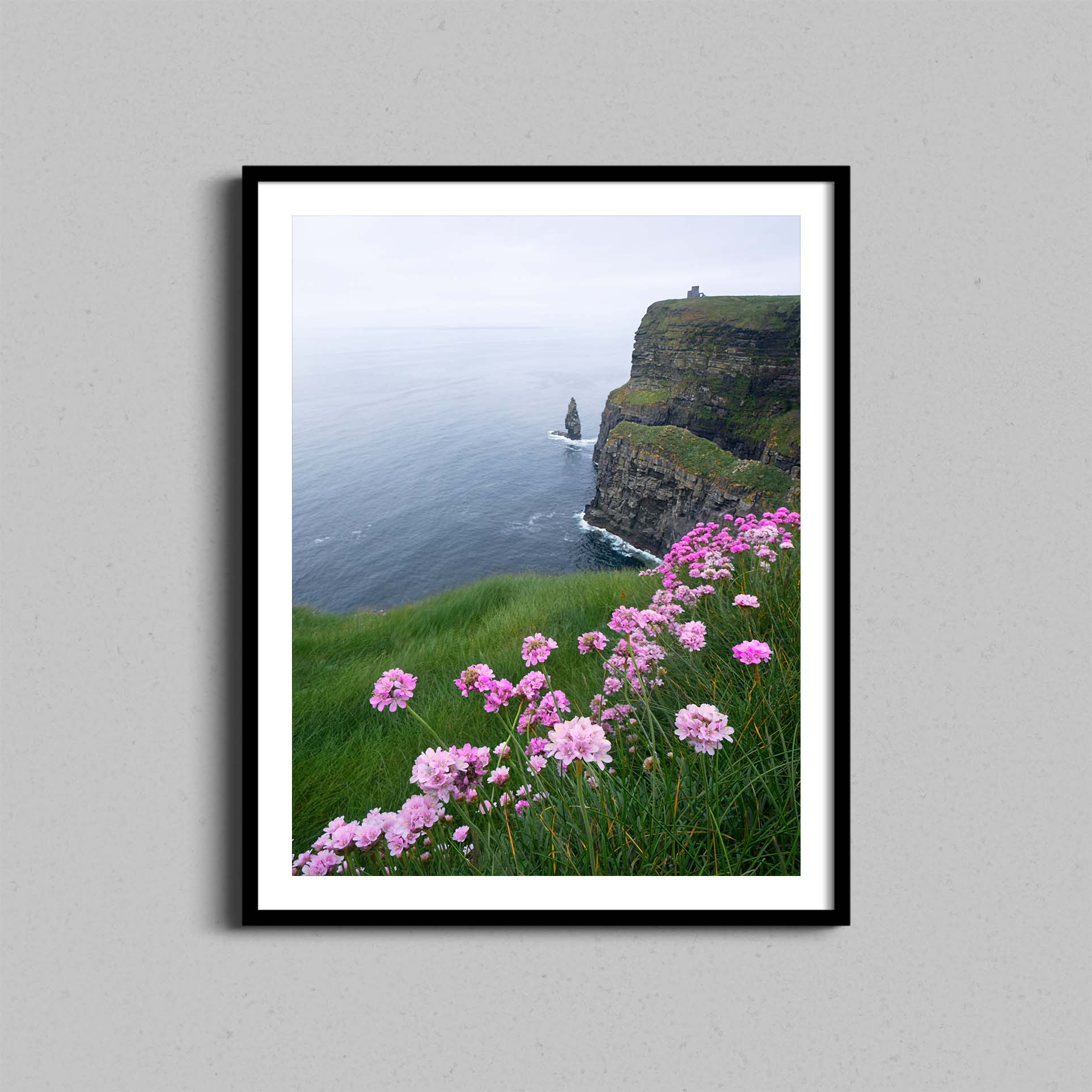 Cliffs of Moher Flowers Print