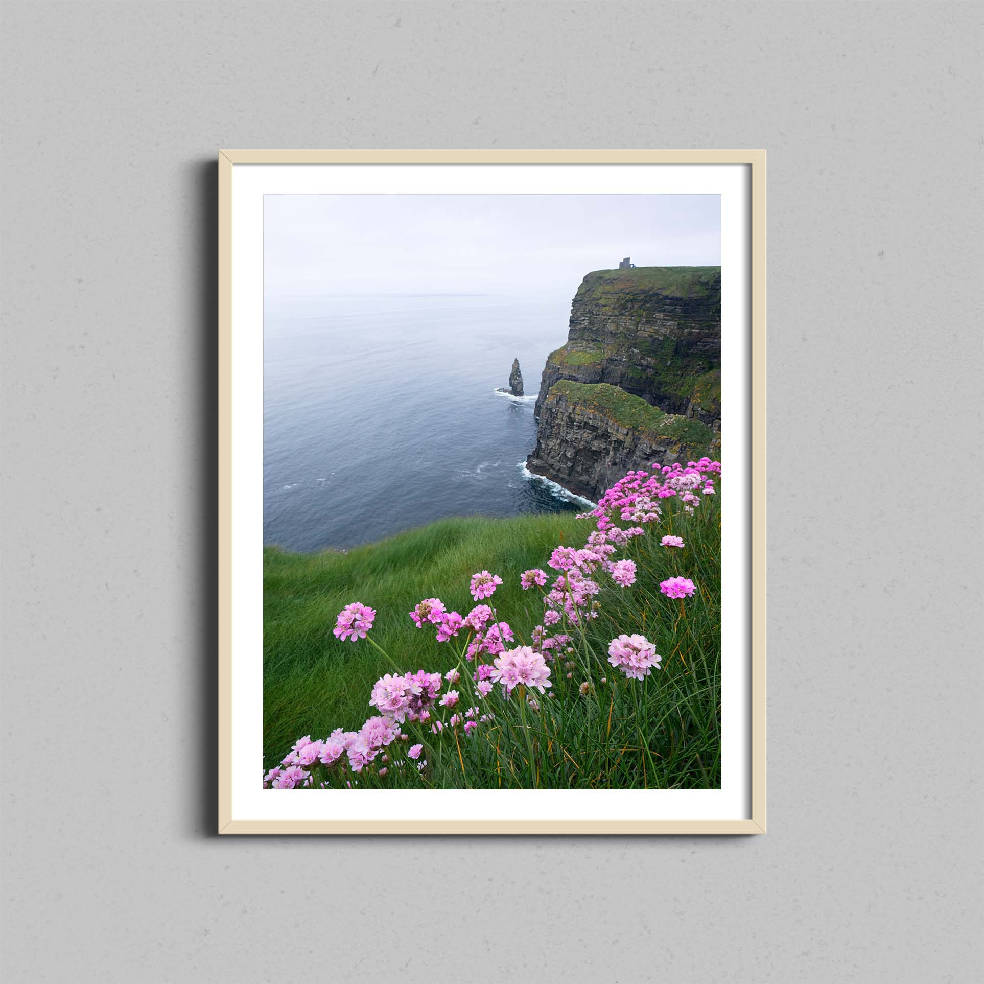 Cliffs of Moher Flowers Print