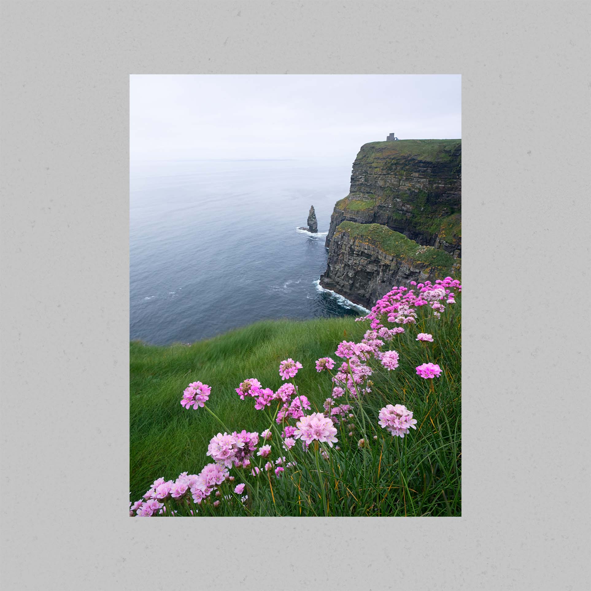 Cliffs of Moher Flowers Print