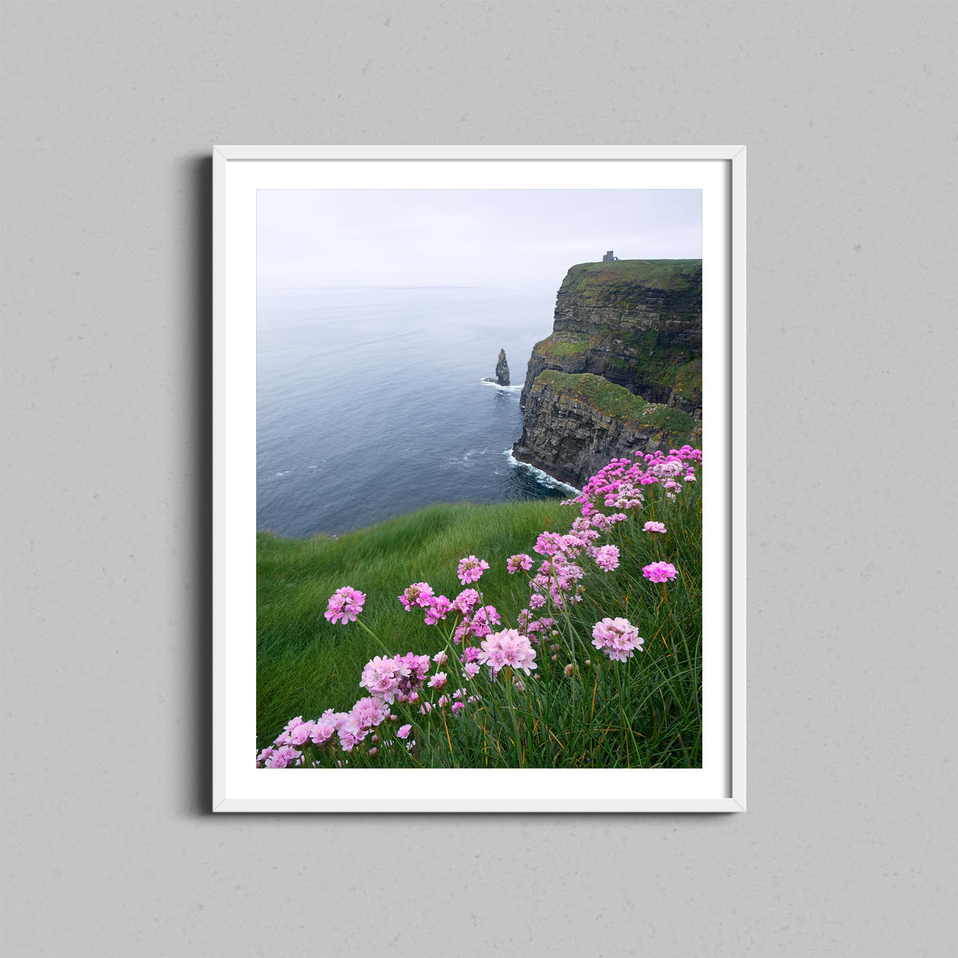 Cliffs of Moher Flowers Print