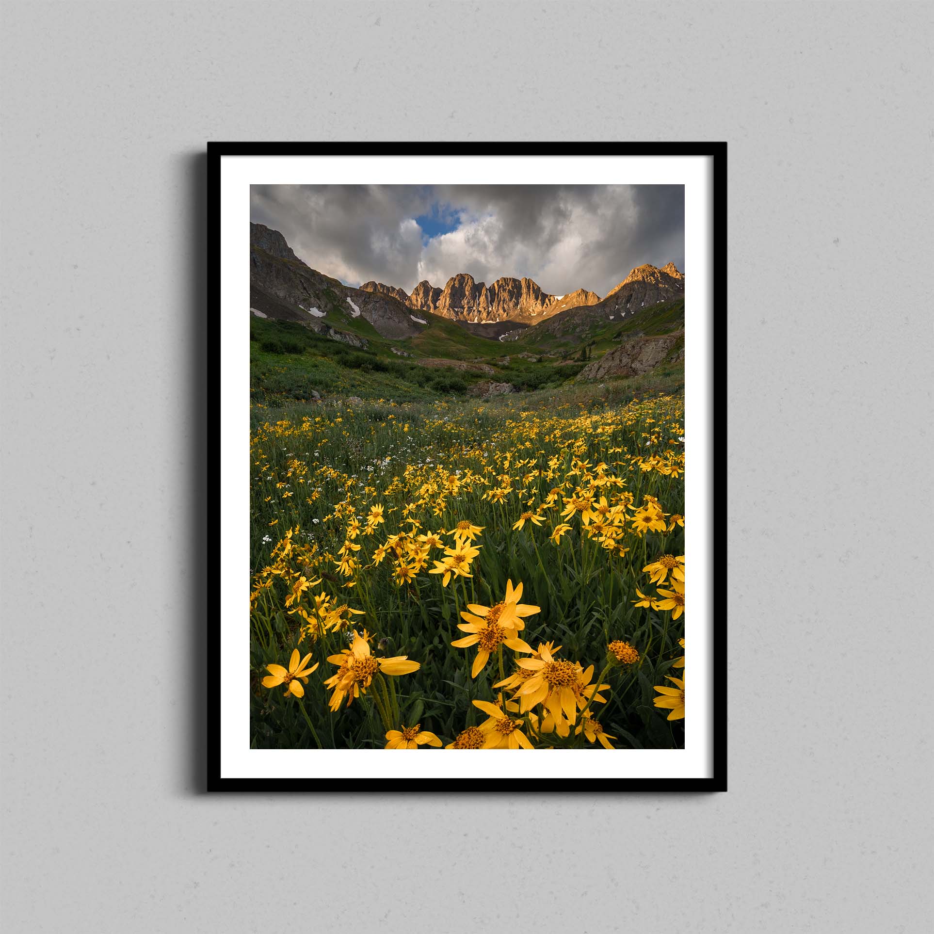 American Basin Wildflowers Print