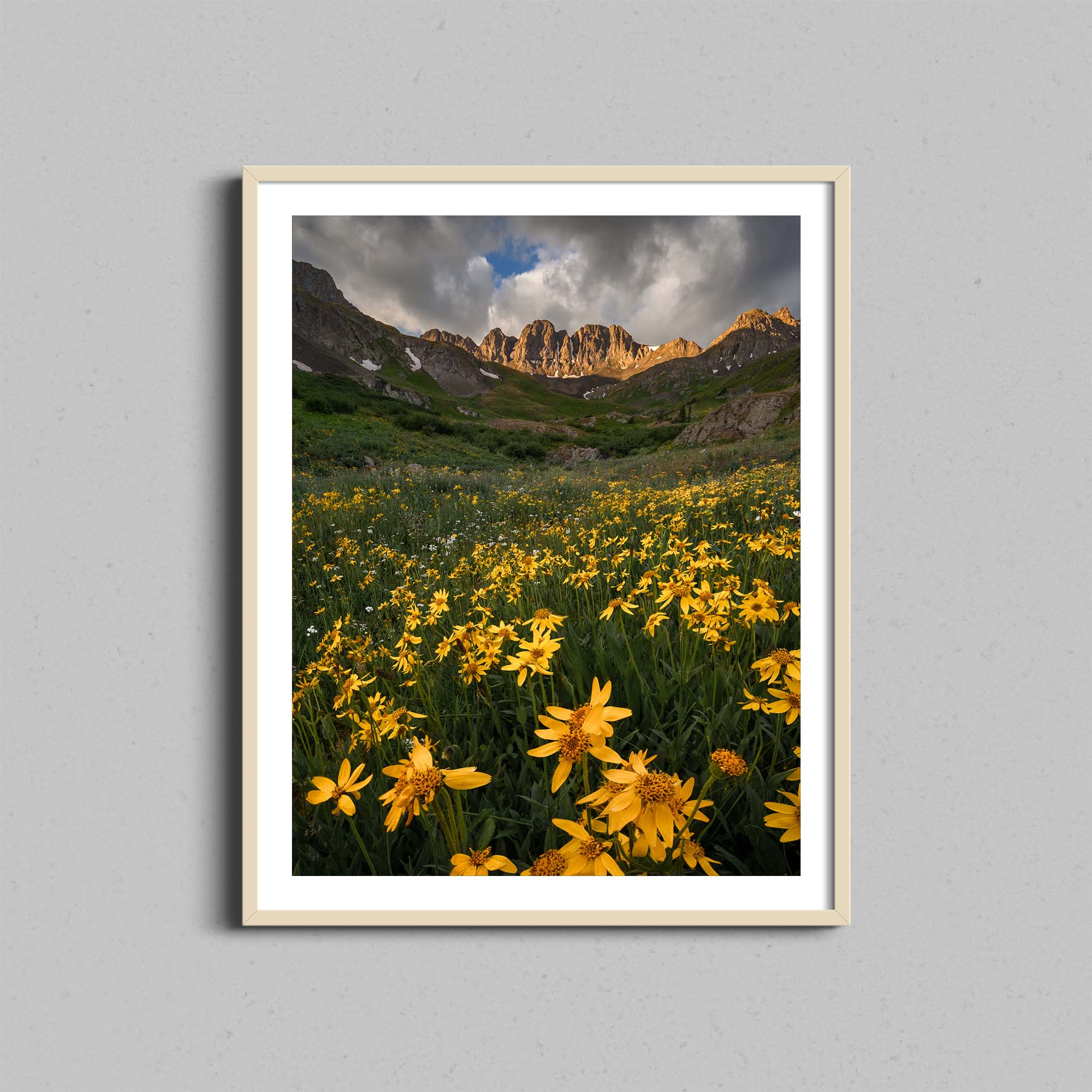 American Basin Wildflowers Print