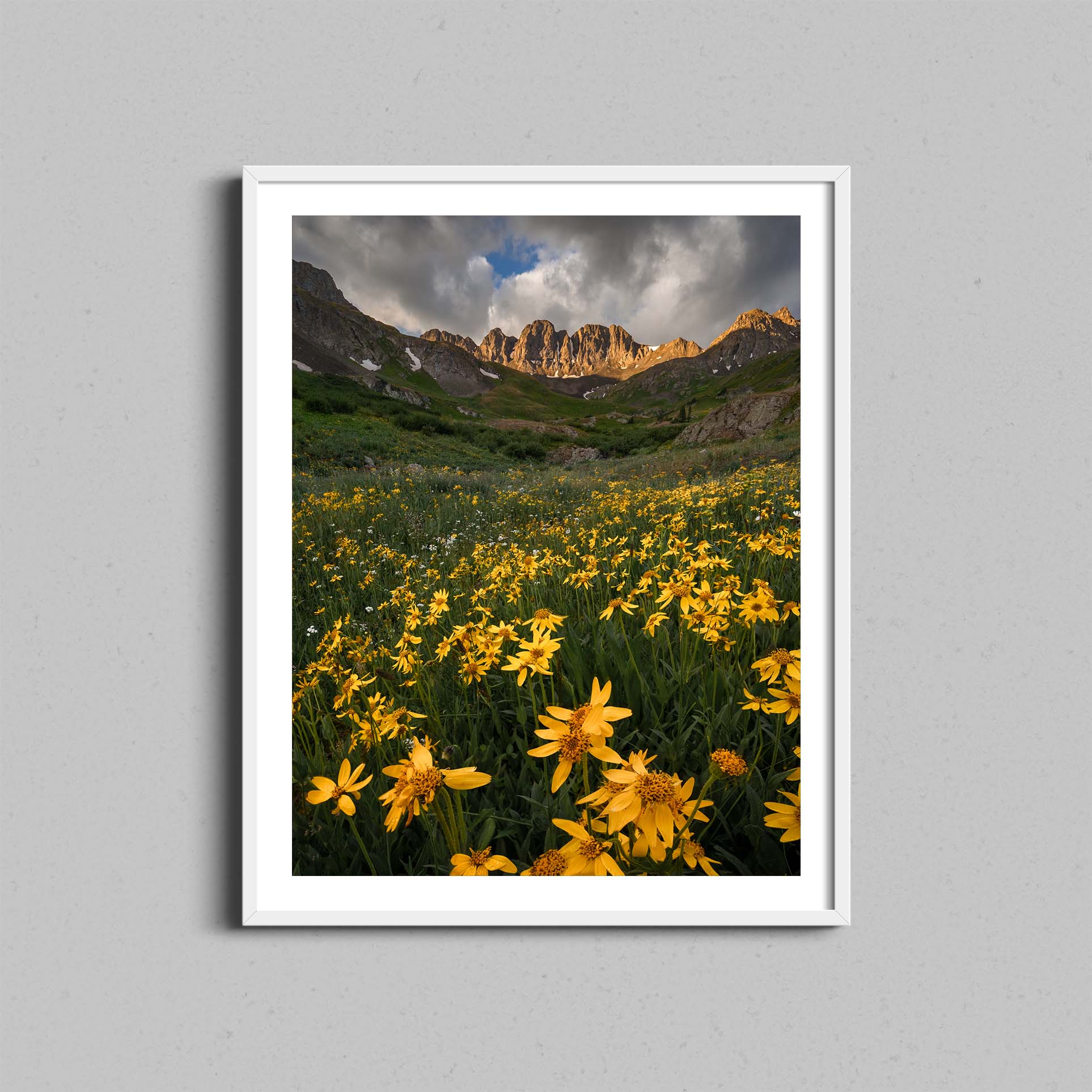 American Basin Wildflowers Print