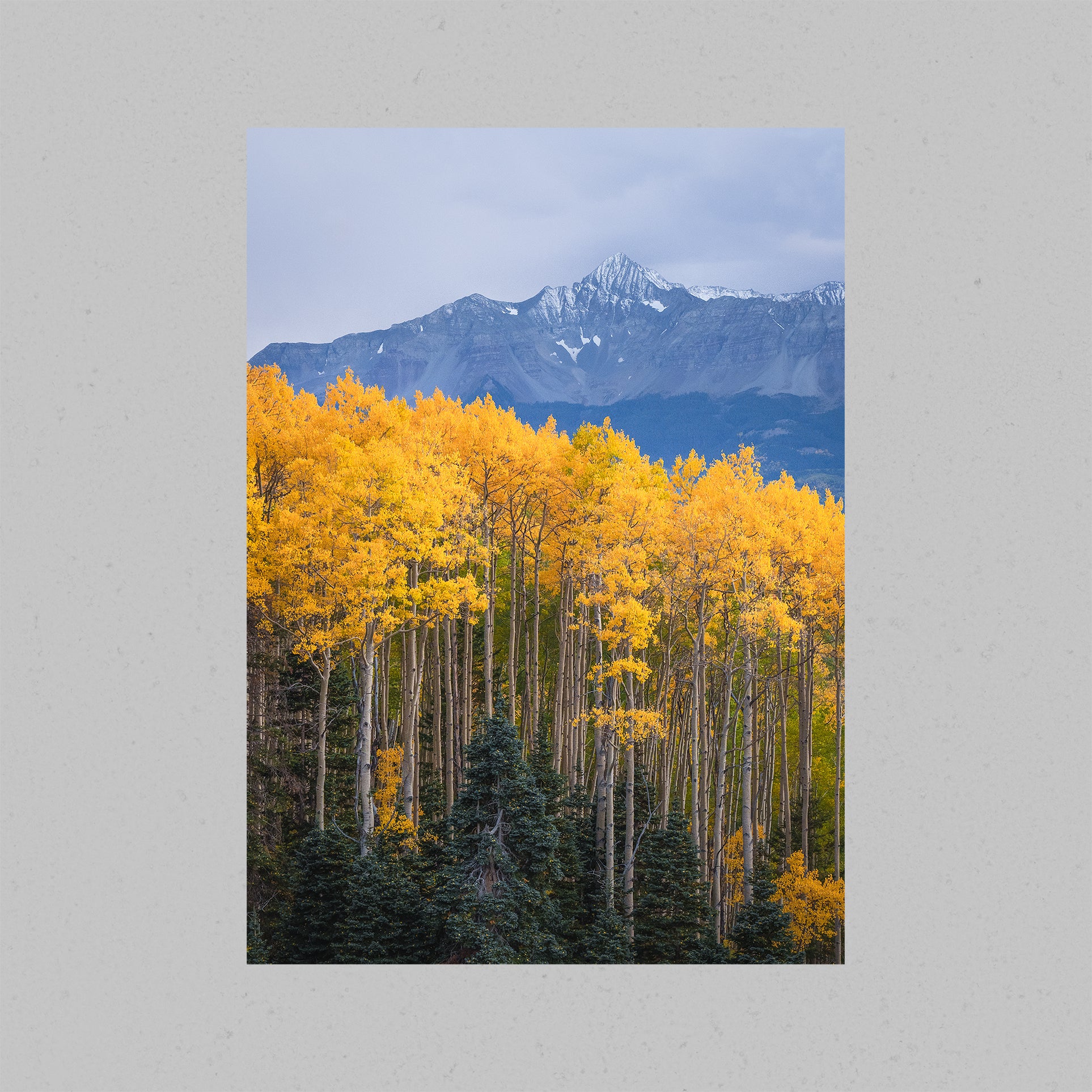 Wilson Peak Autumn Print