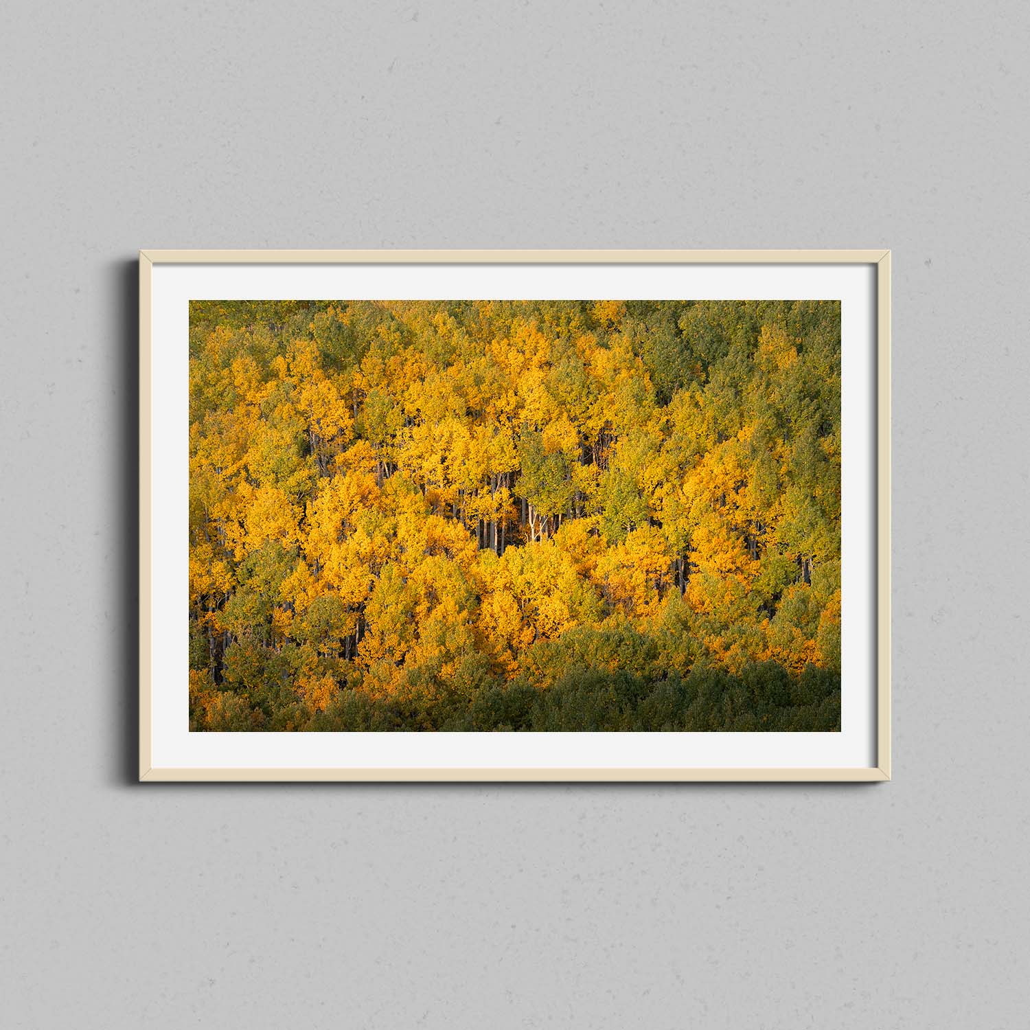 Yellow Forest Print