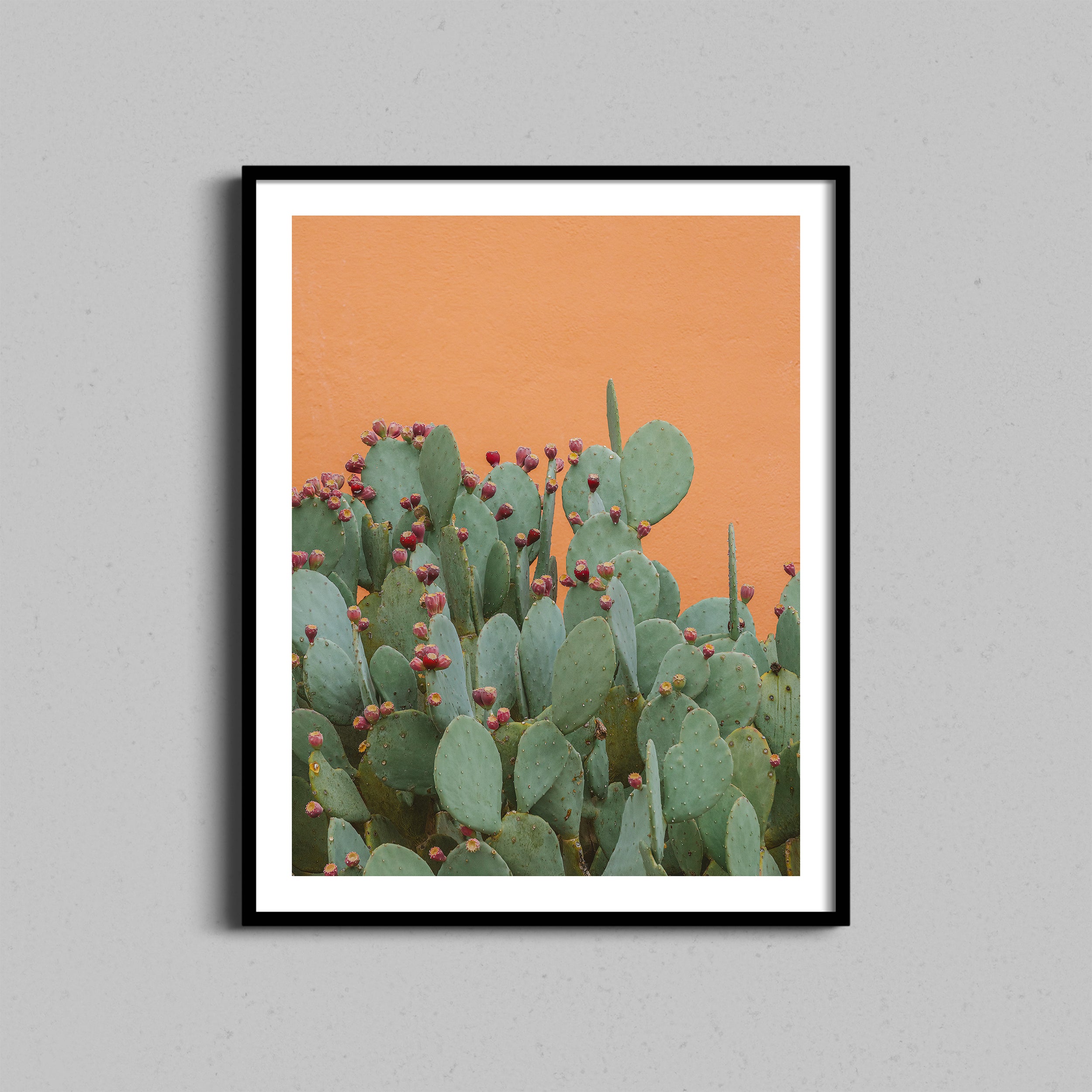 Orange Textured Cactus