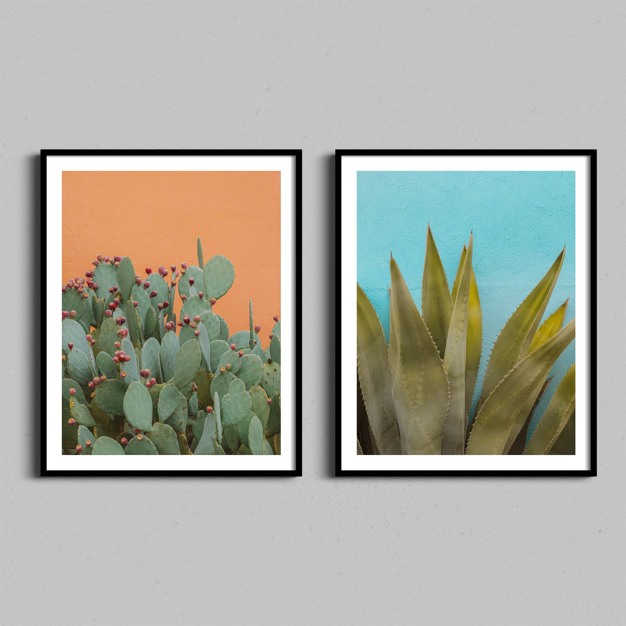 Desert Cactus Diptych