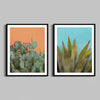 Two diptych photographs of desert cactus in black wooden frames.