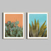 Two diptych photographs of desert cactus in natural wooden frames.