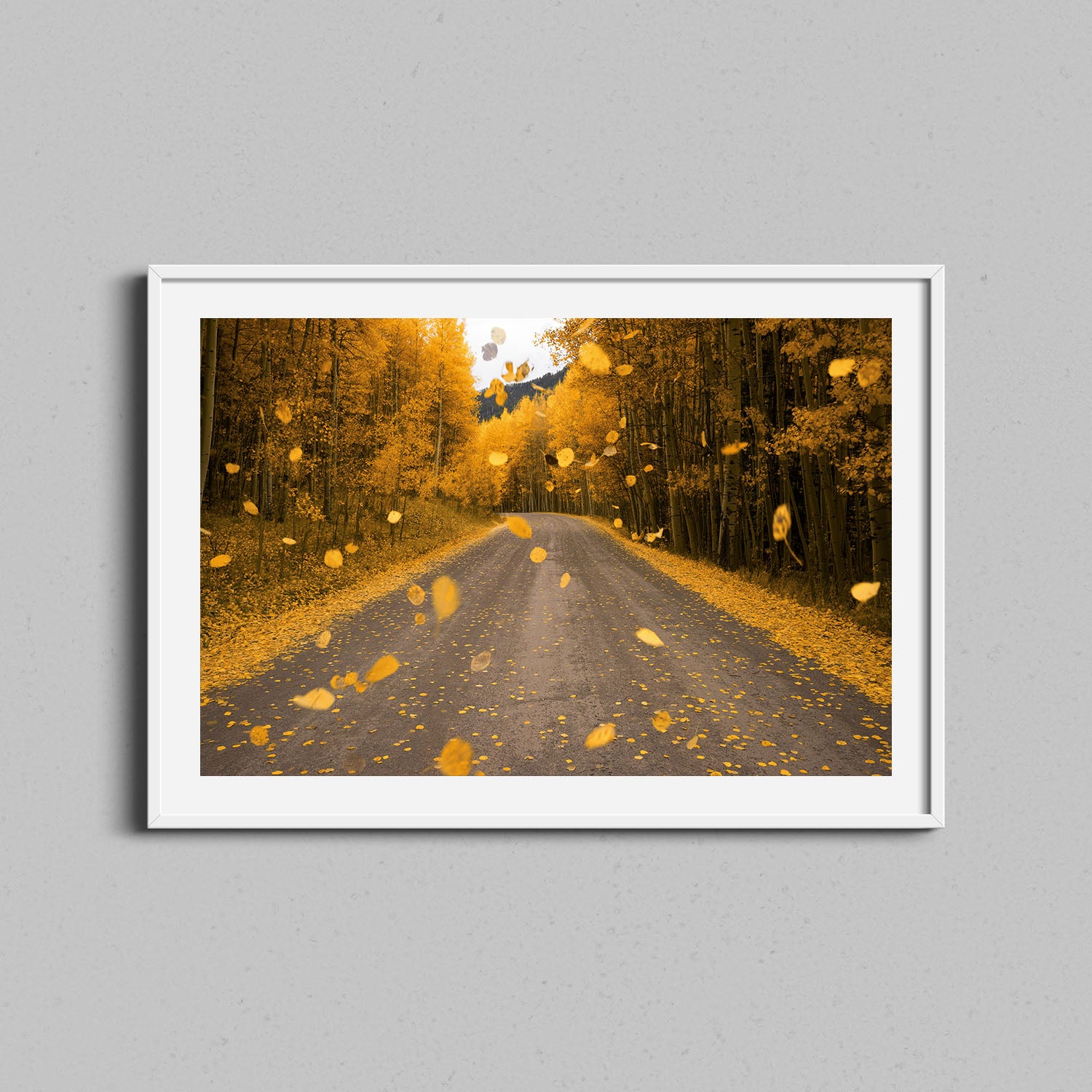 Falling Aspen Leaves Print