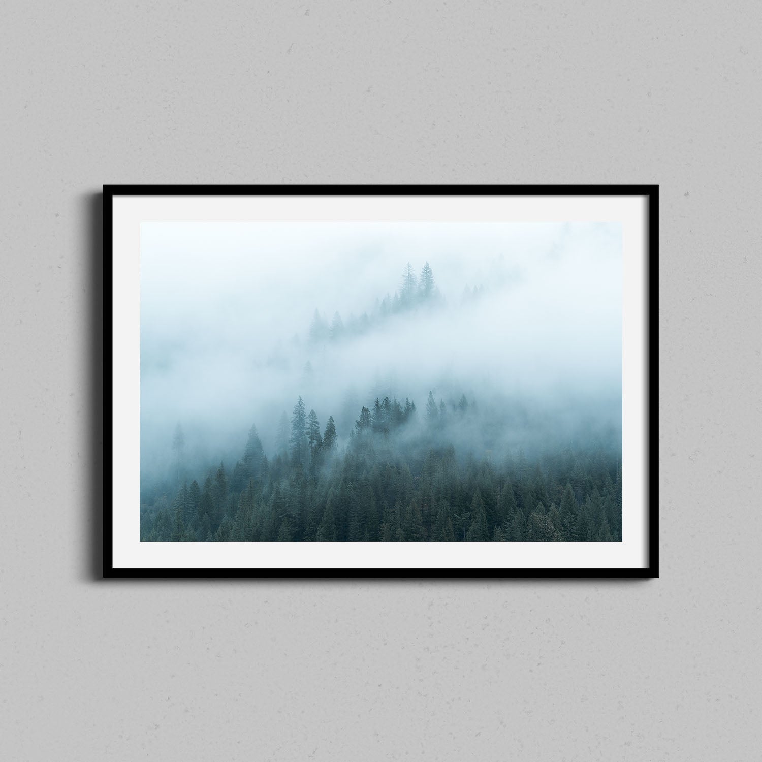 Foggy Redwoods Print