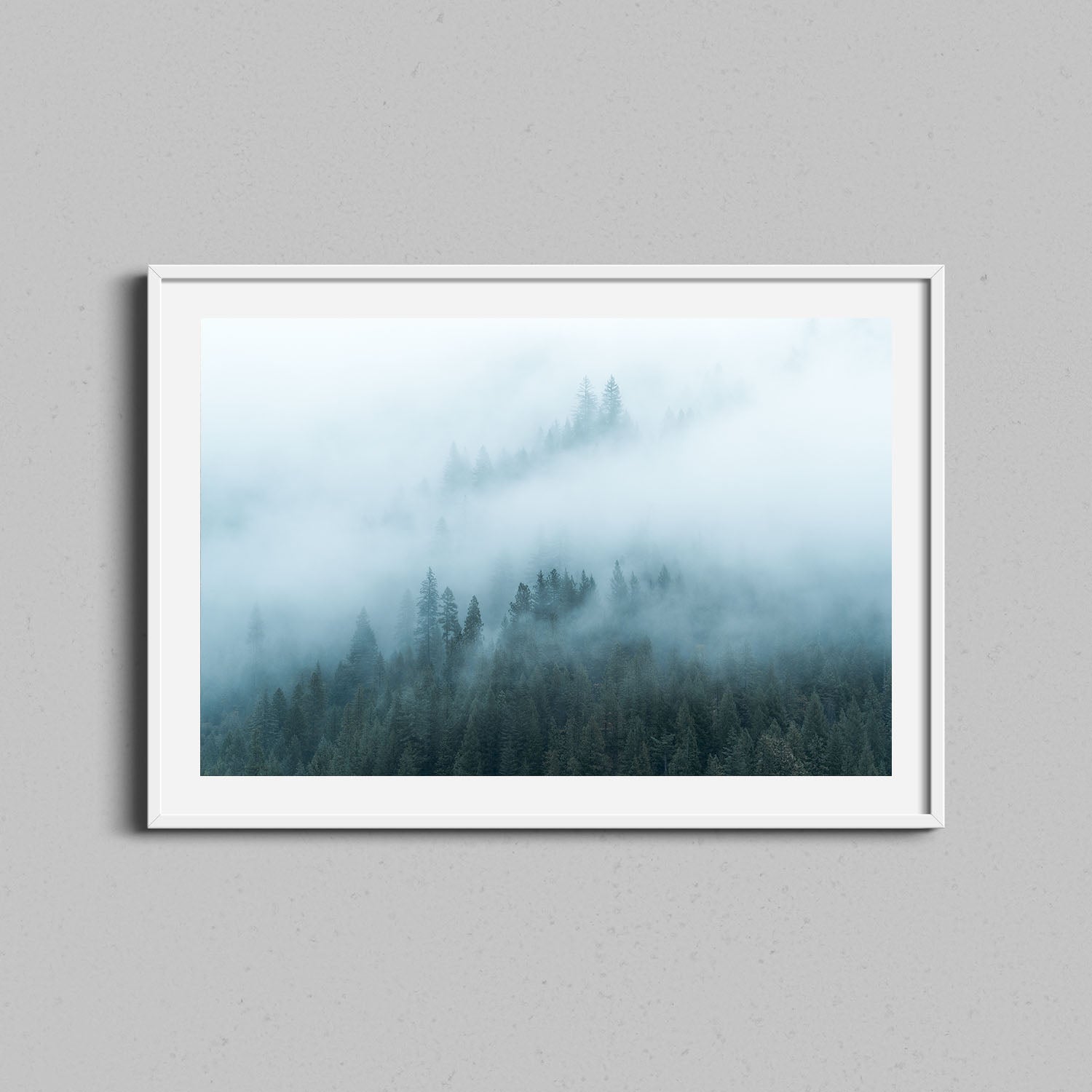 Foggy Redwoods Print