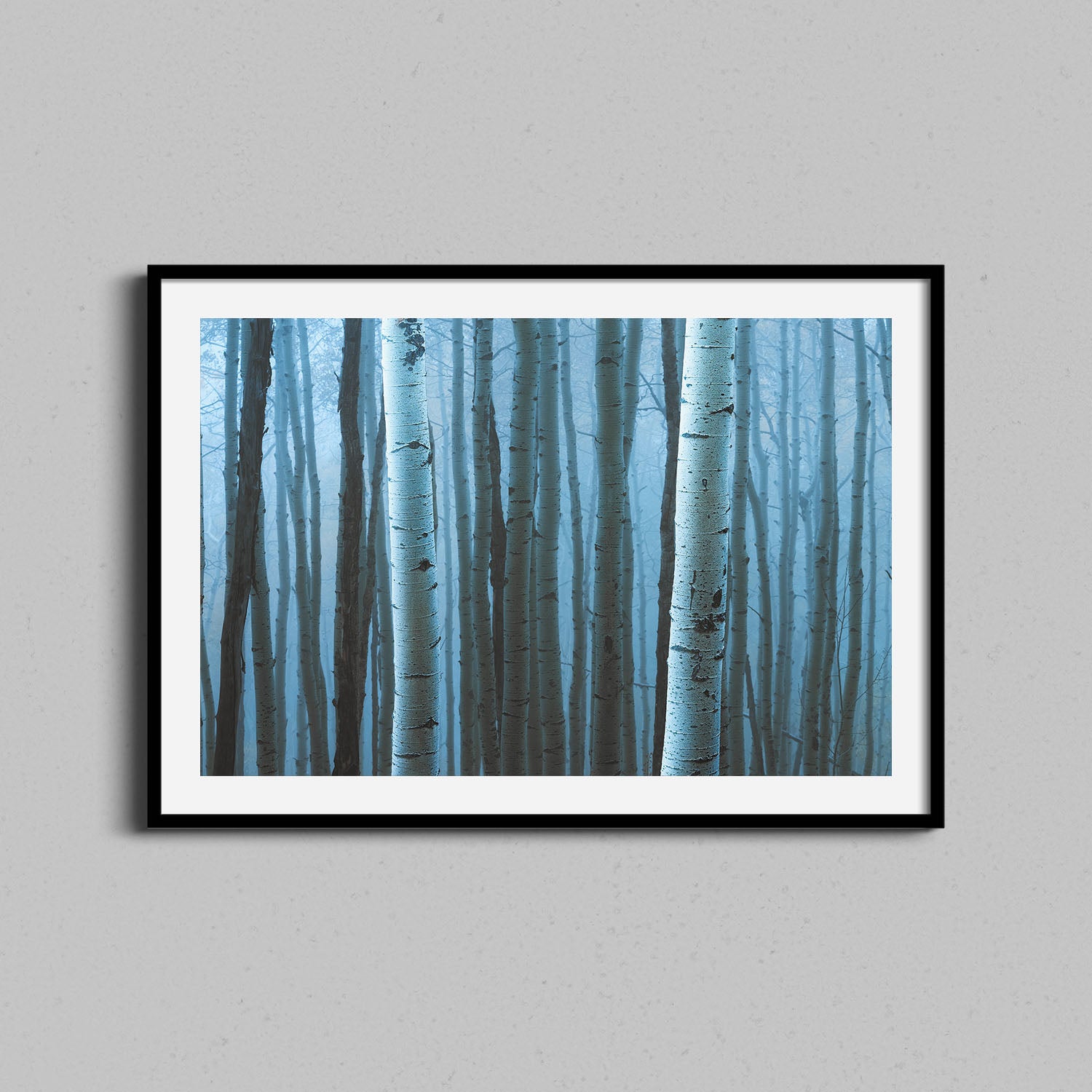 Dense Aspen Forest Print