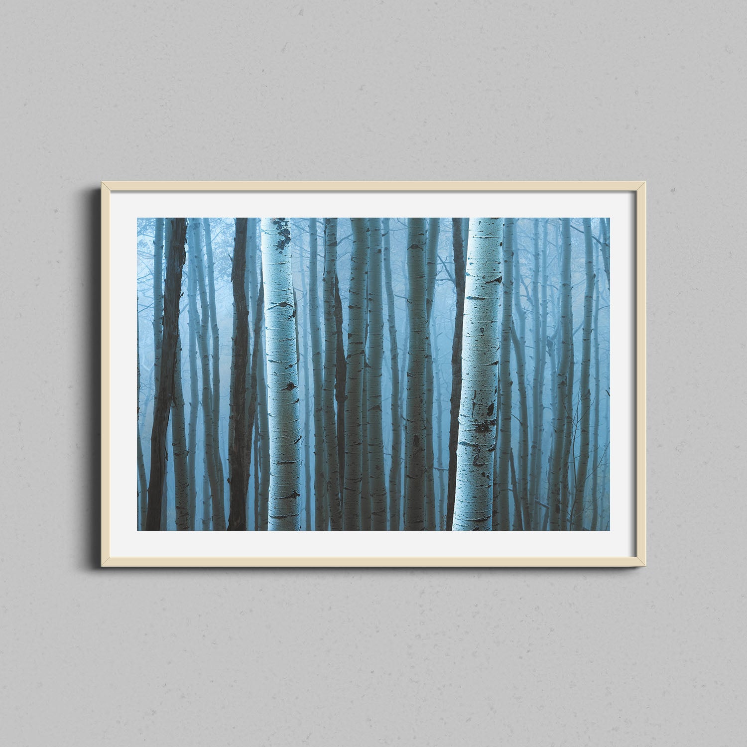 Dense Aspen Forest Print