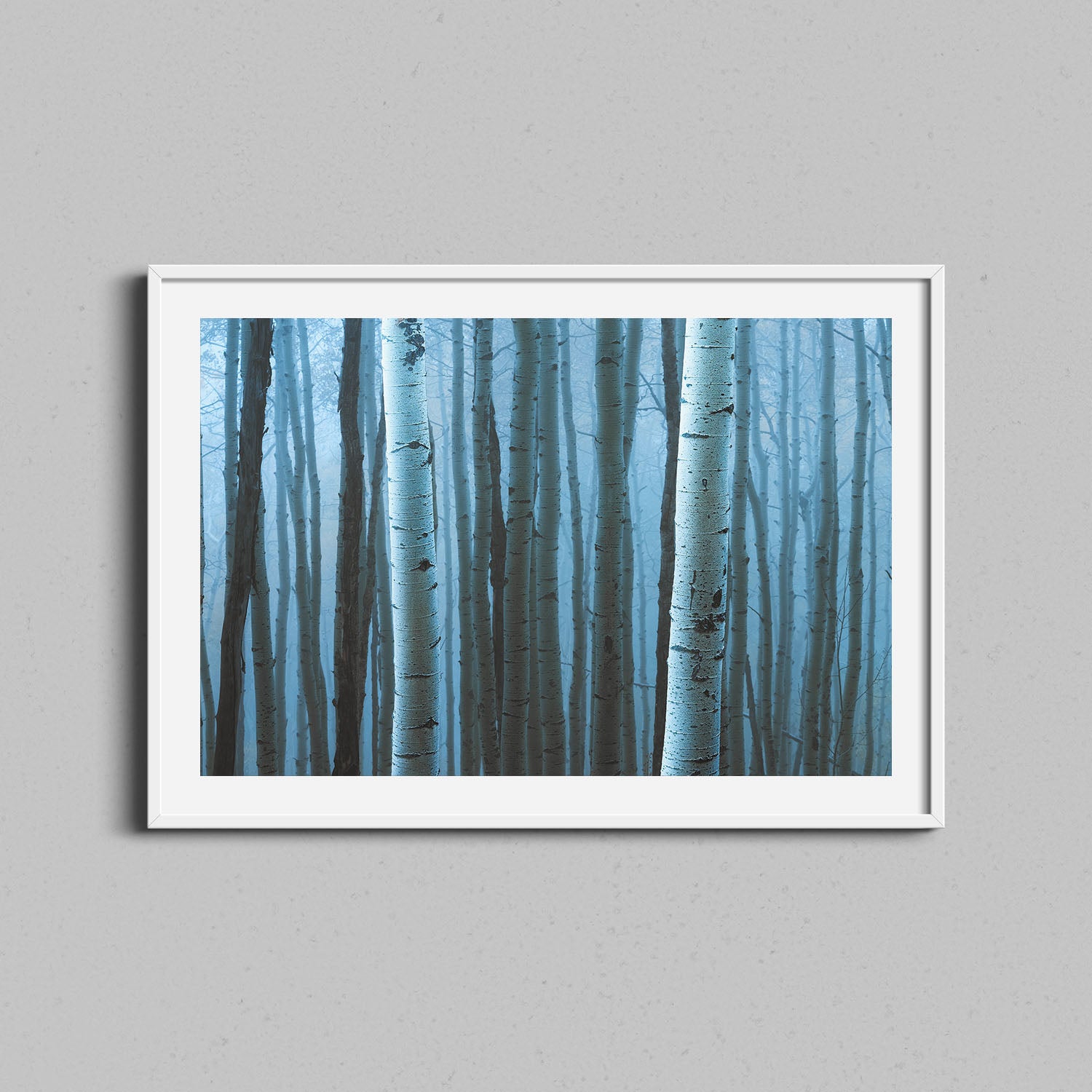 Dense Aspen Forest Print