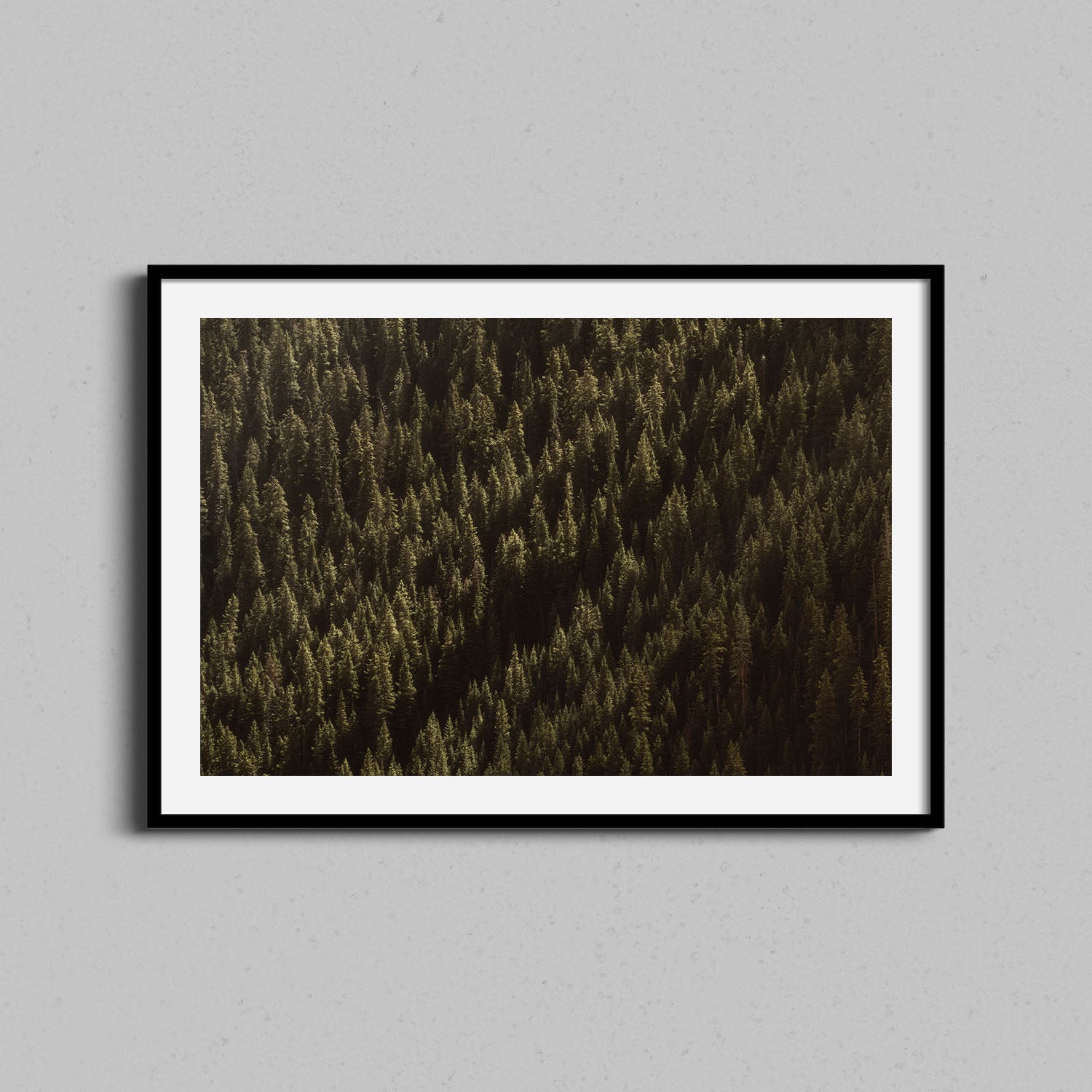Colorado Forest Print