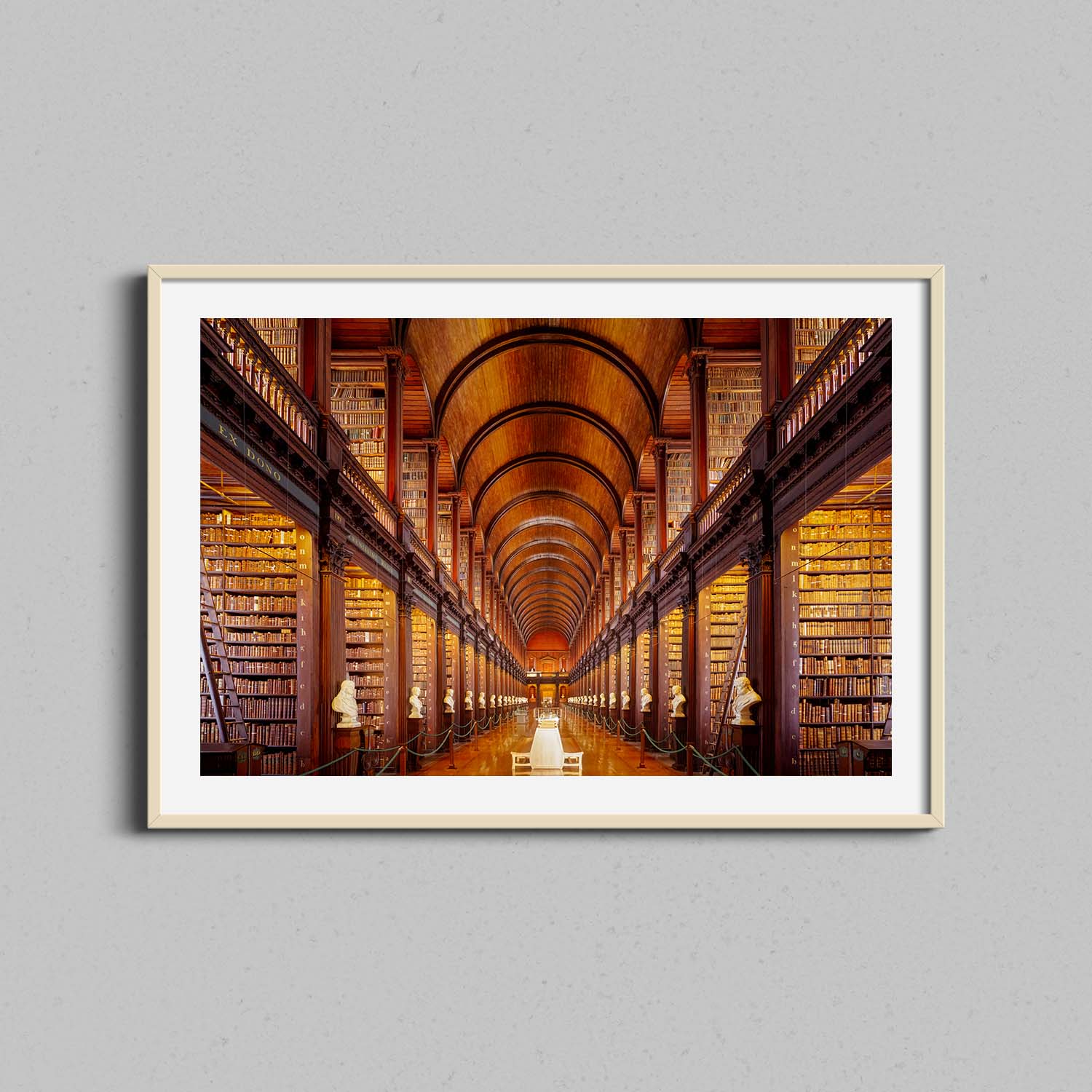 Dublin Ireland Library Print