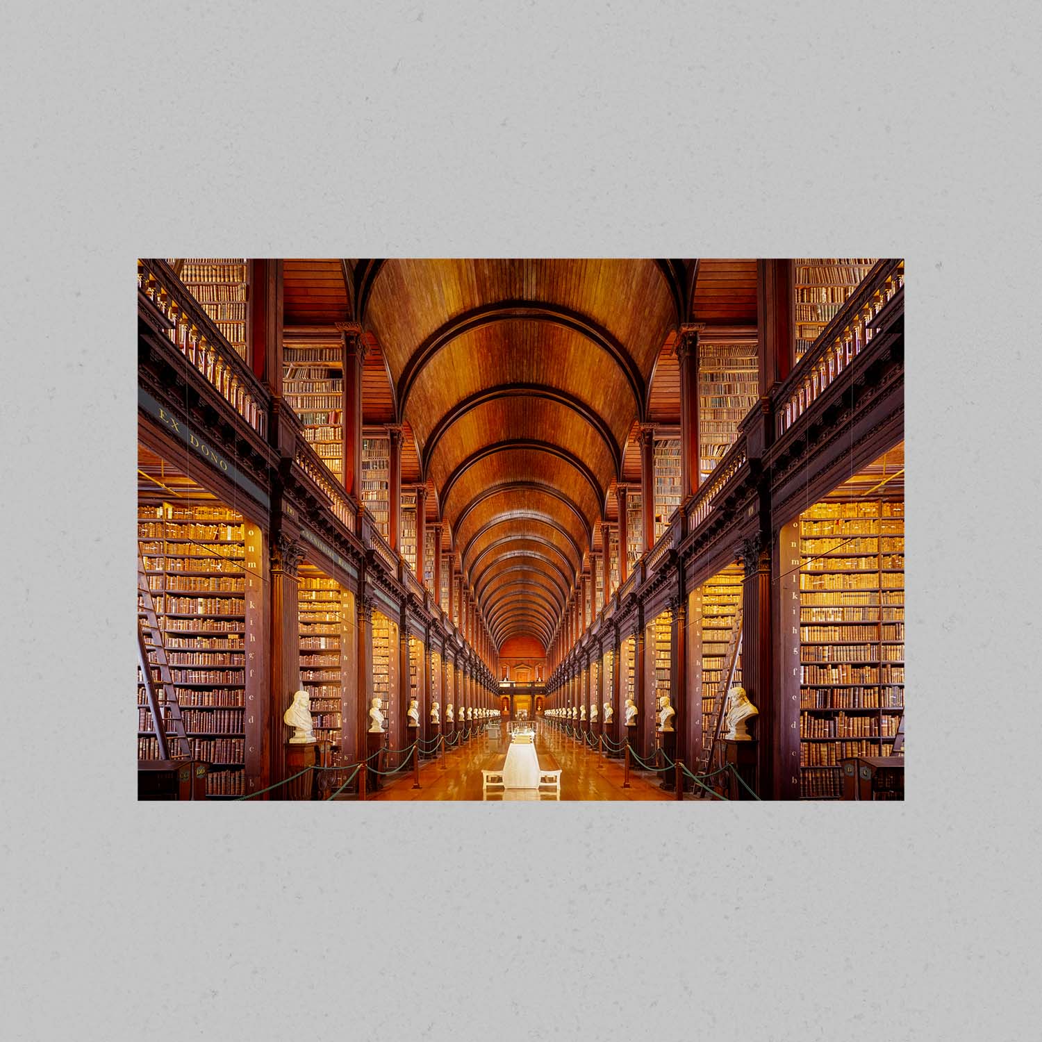 Dublin Ireland Library Print